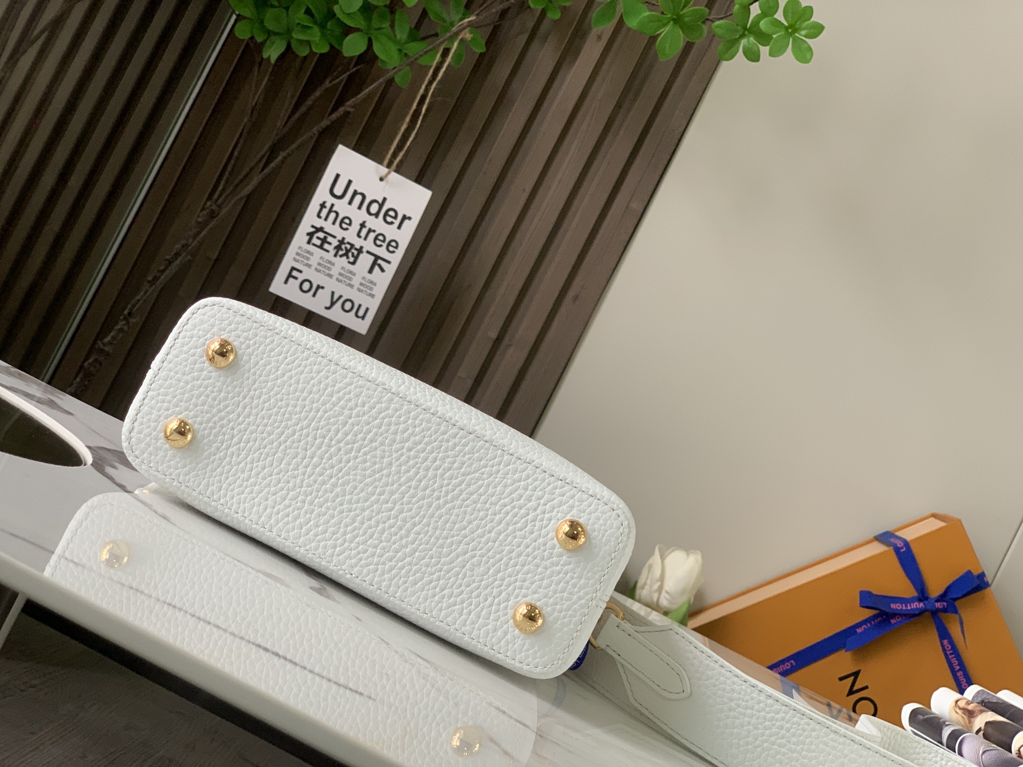 LV Bag