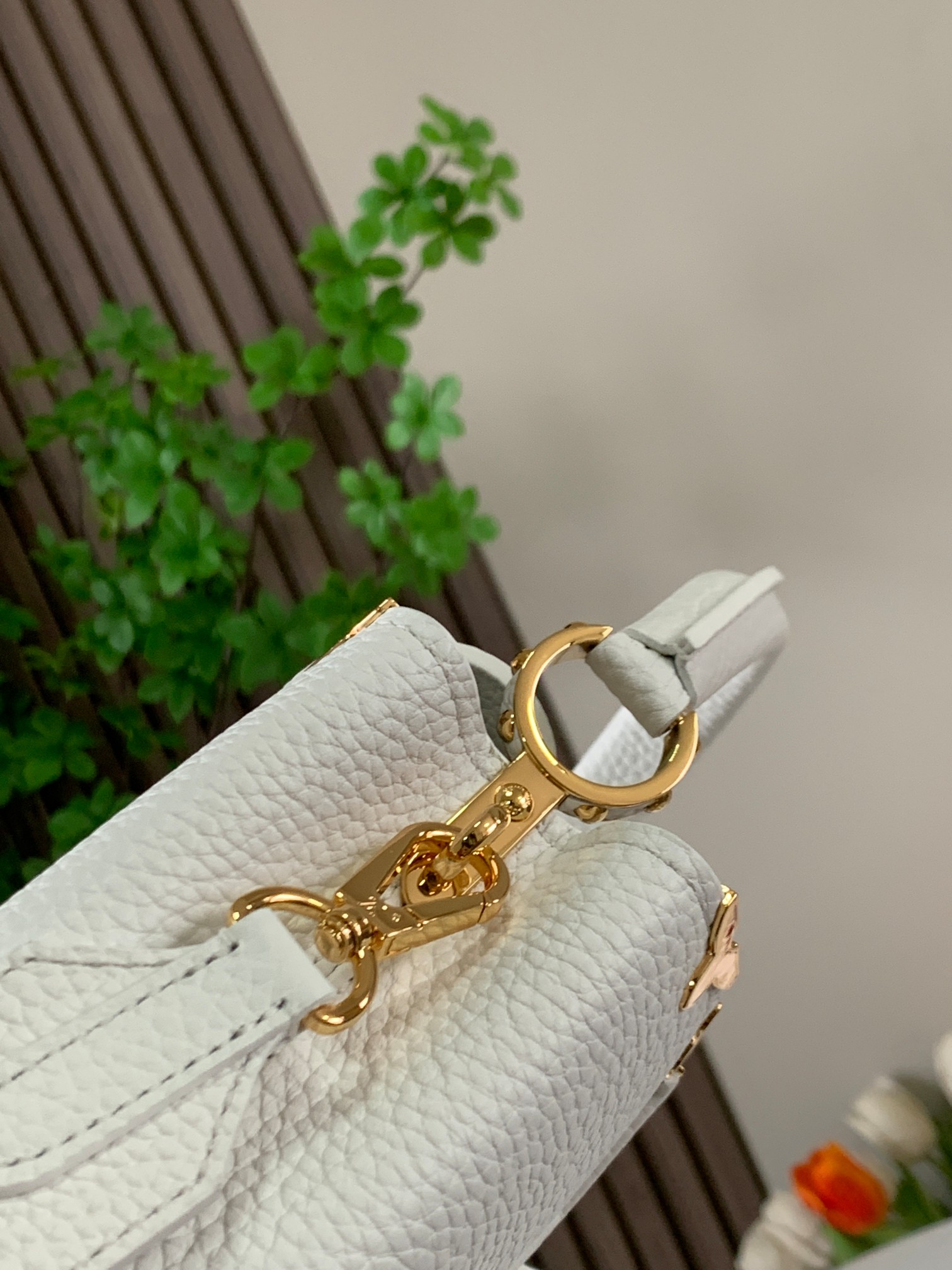 LV Bag