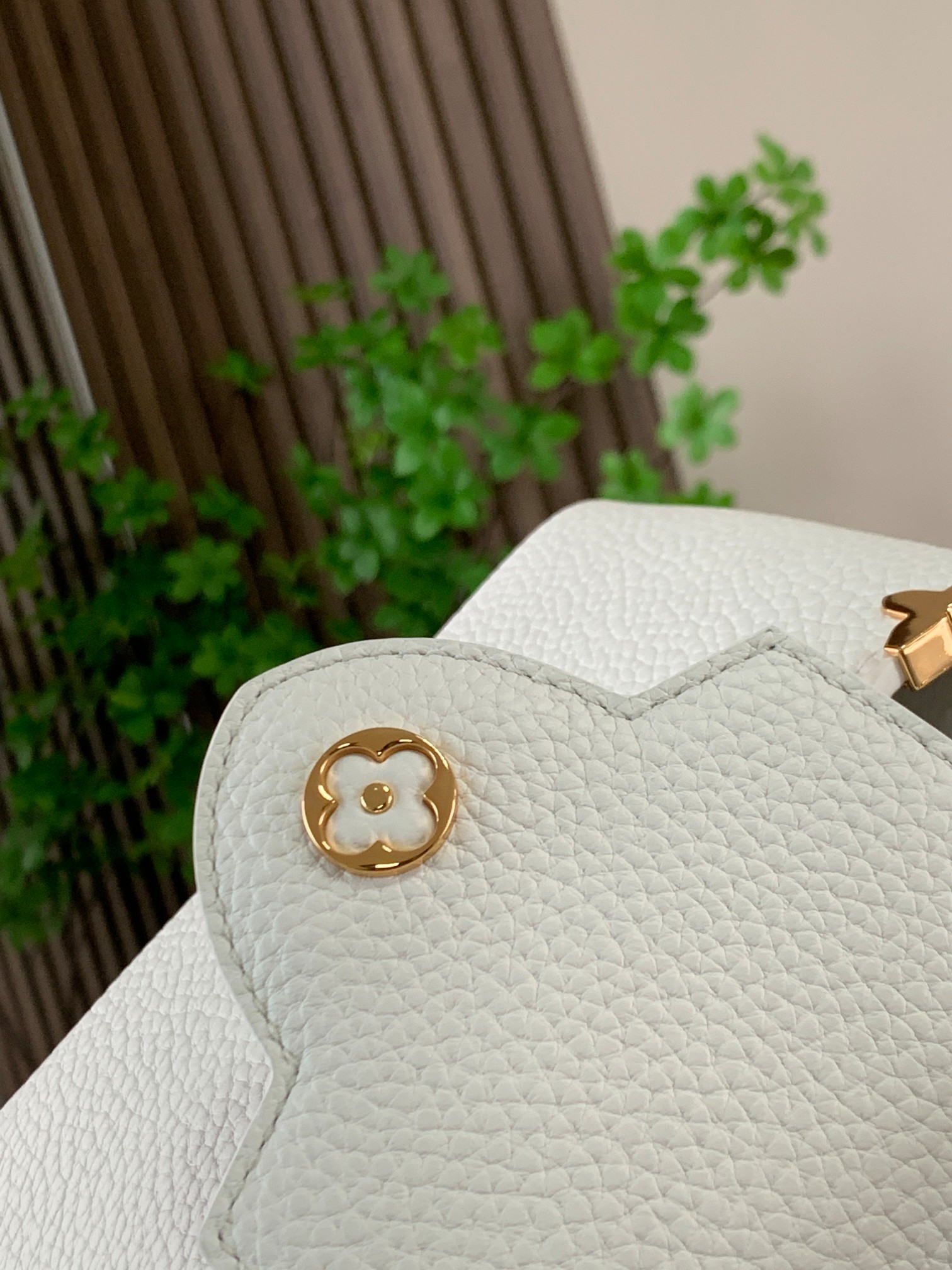 LV Bag