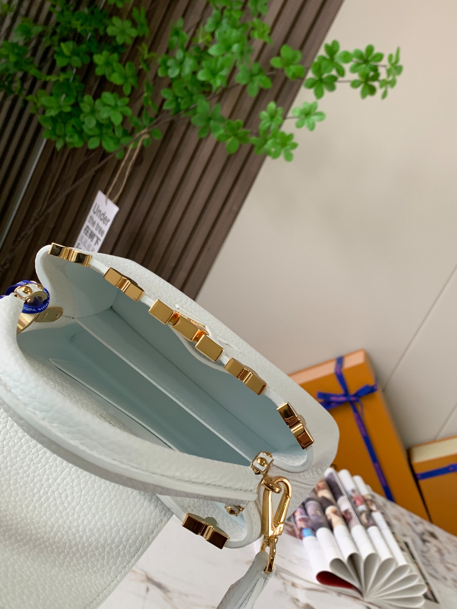 LV Bag