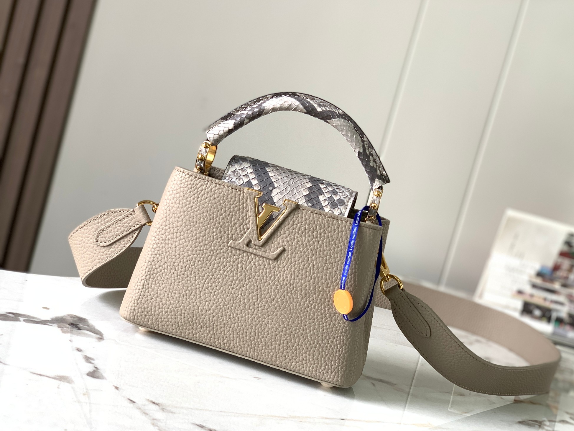 LV Bag