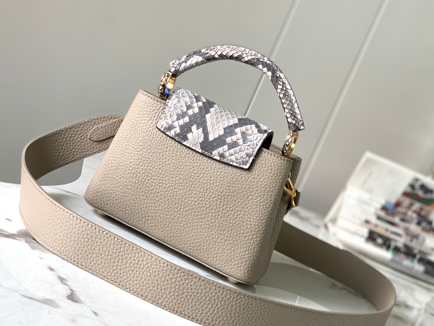 LV Bag