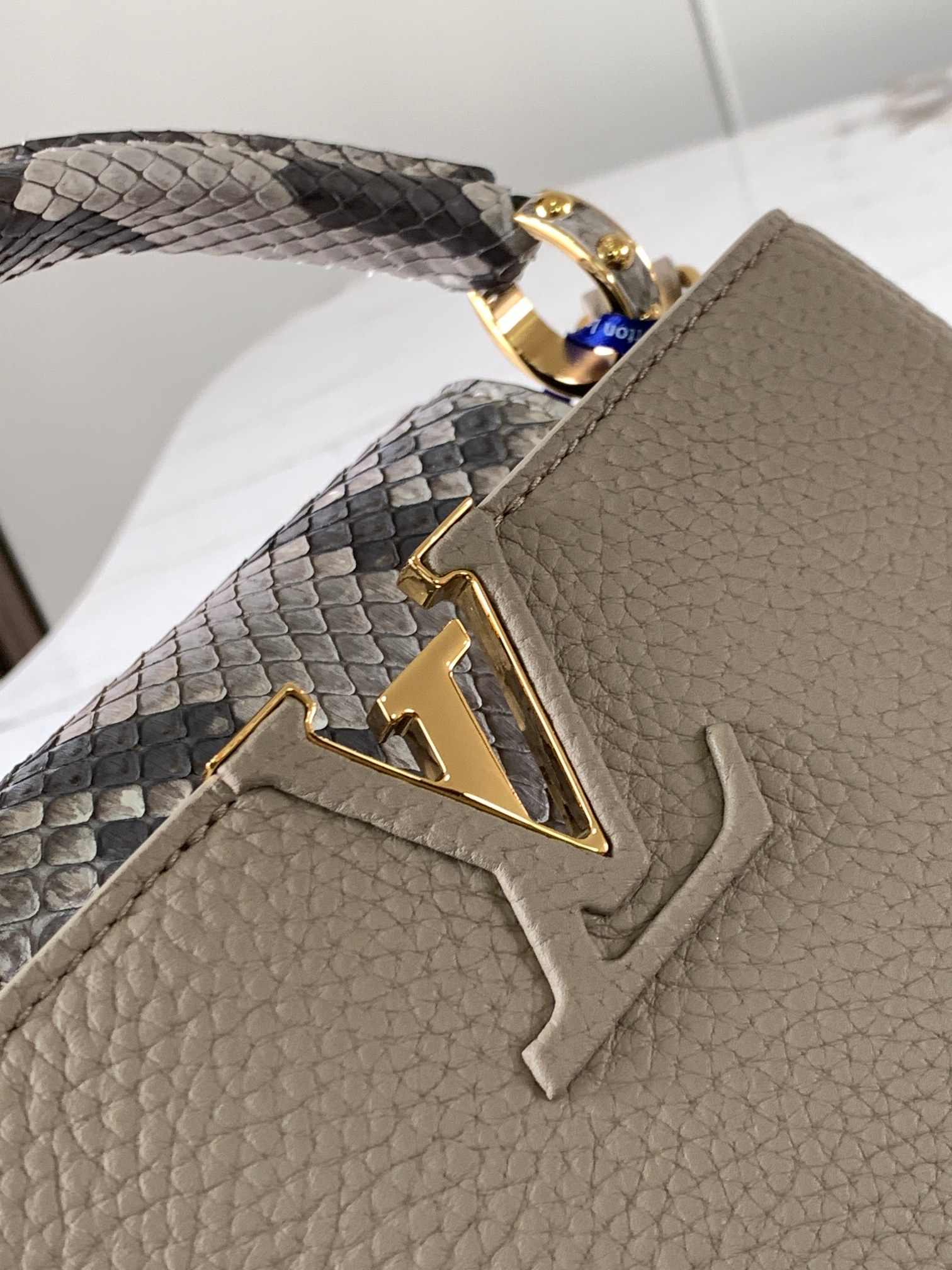 LV Bag