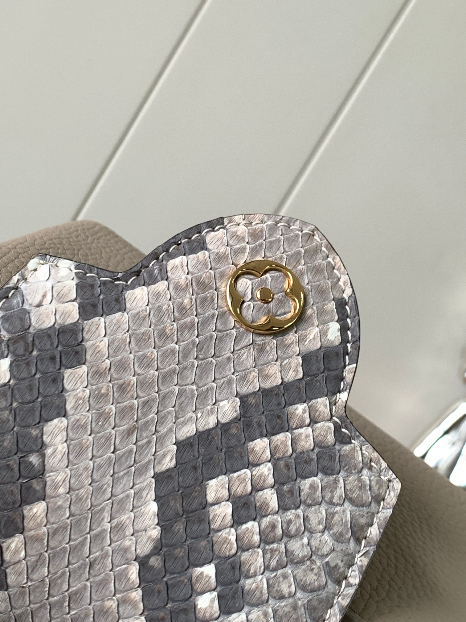LV Bag