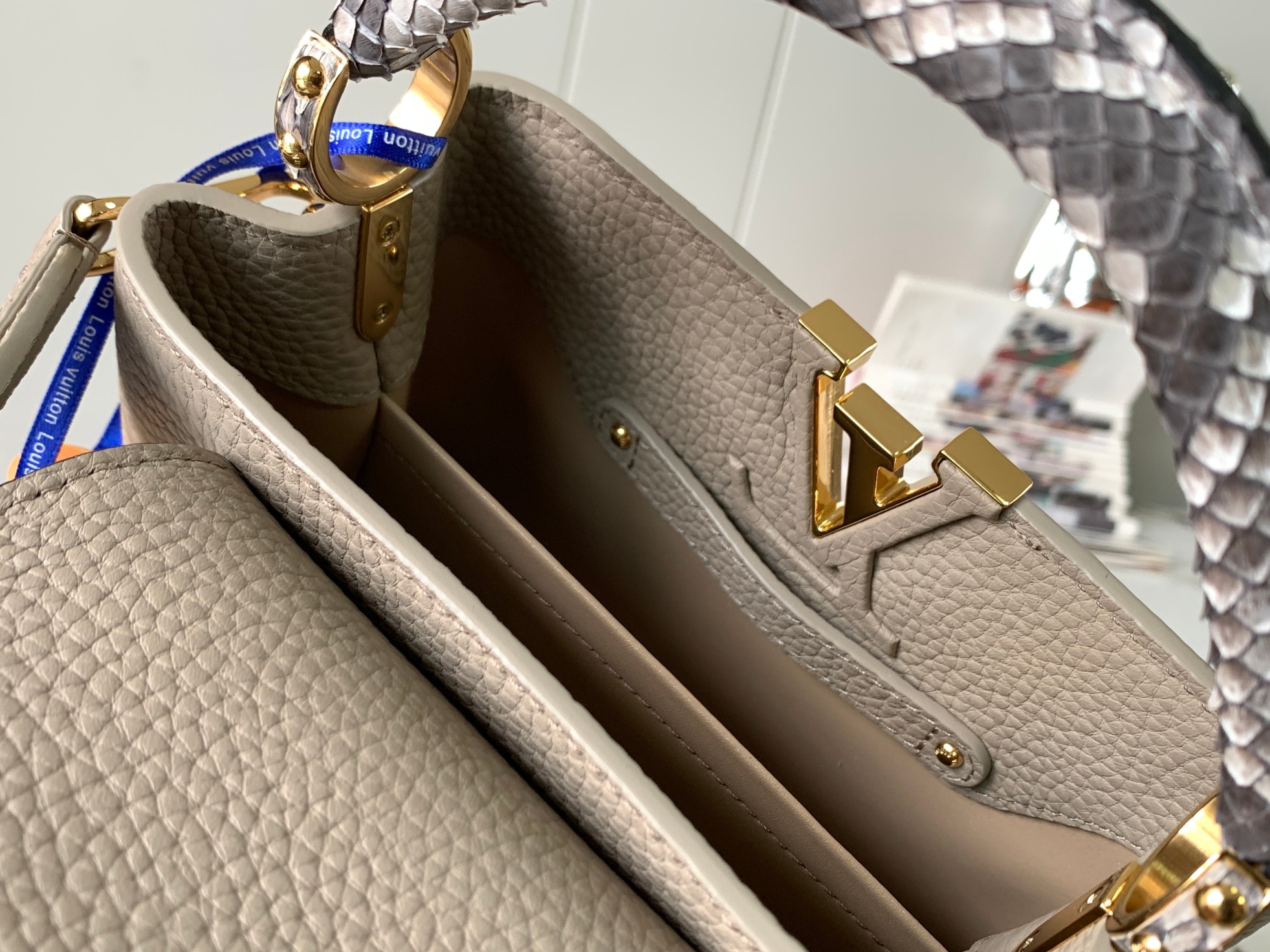LV Bag