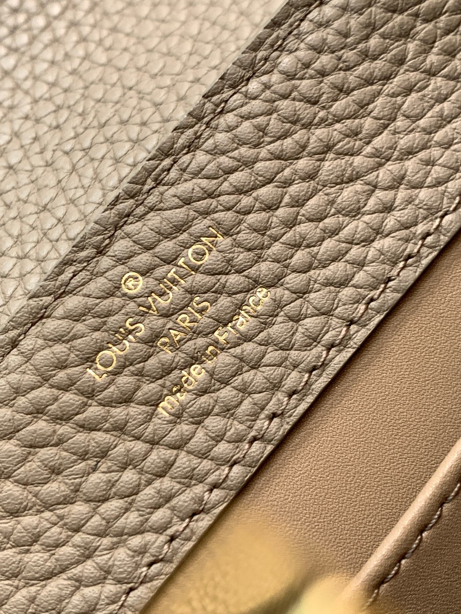 LV Bag