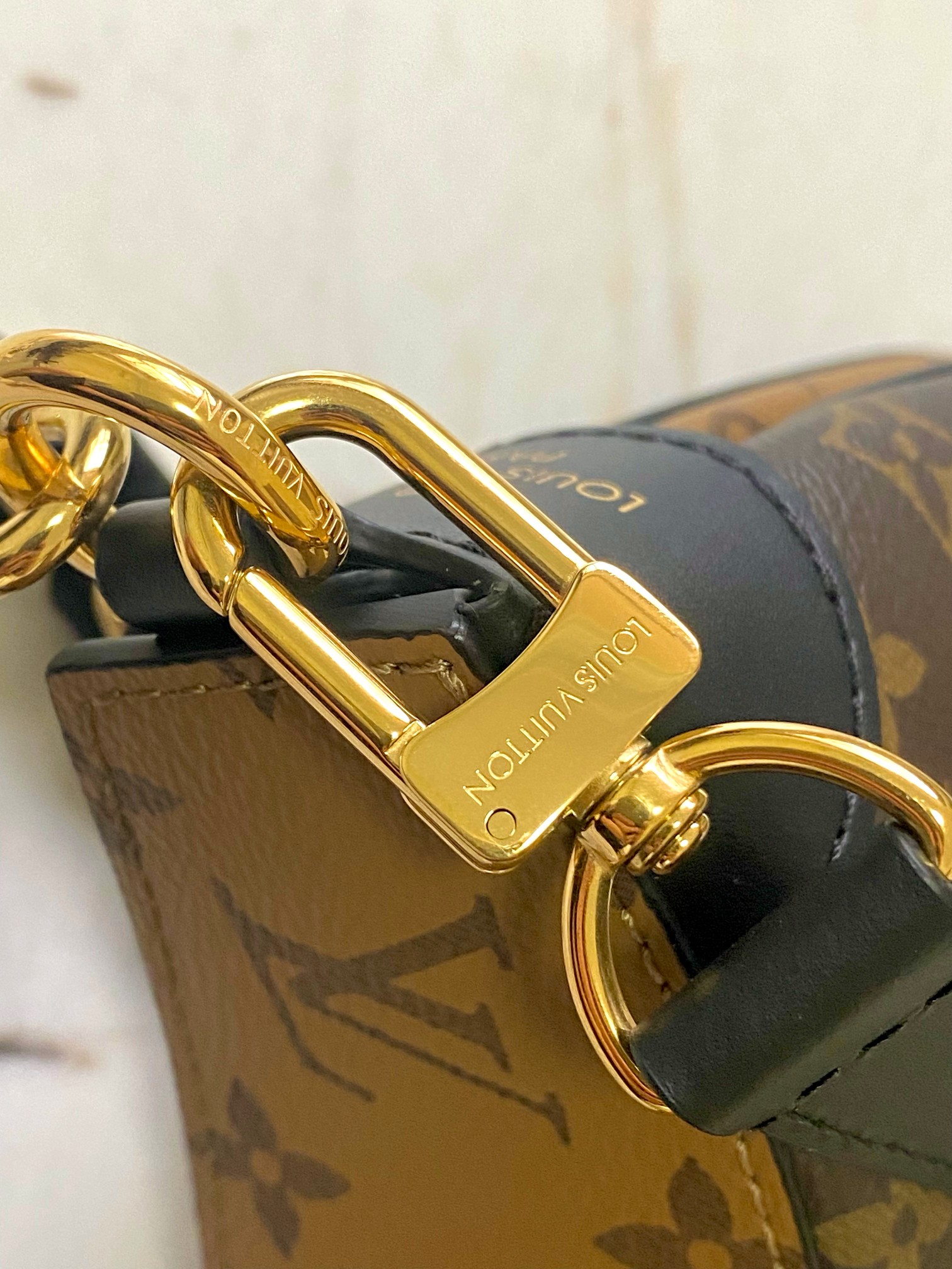 LV Bag
