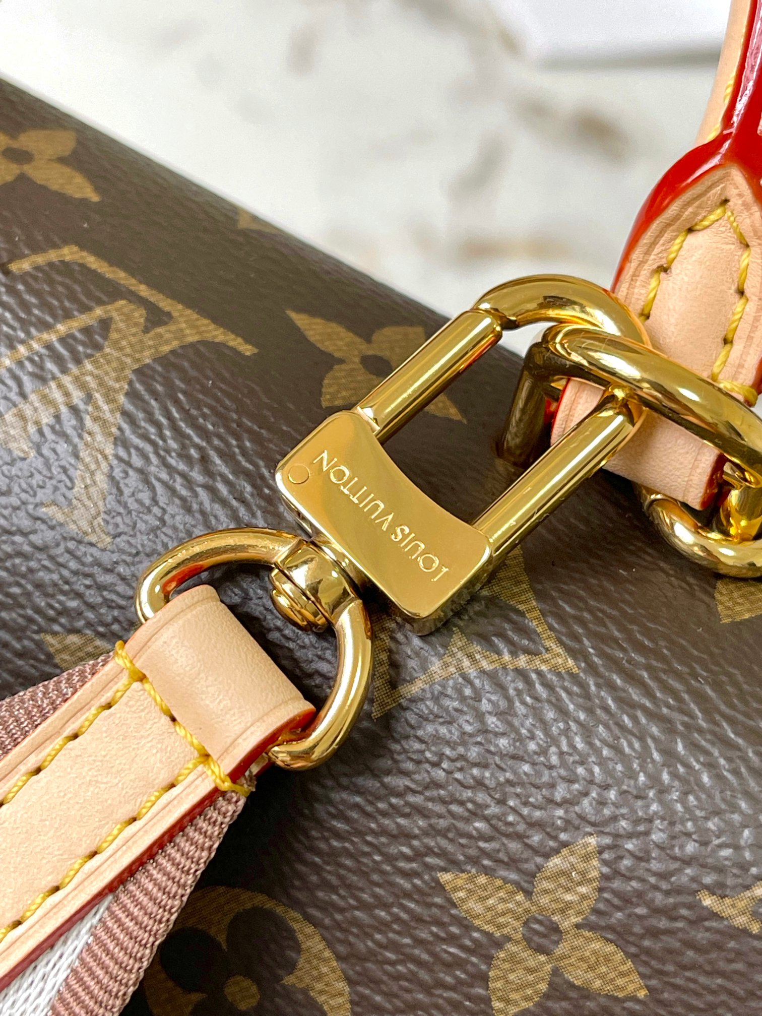 LV Bag