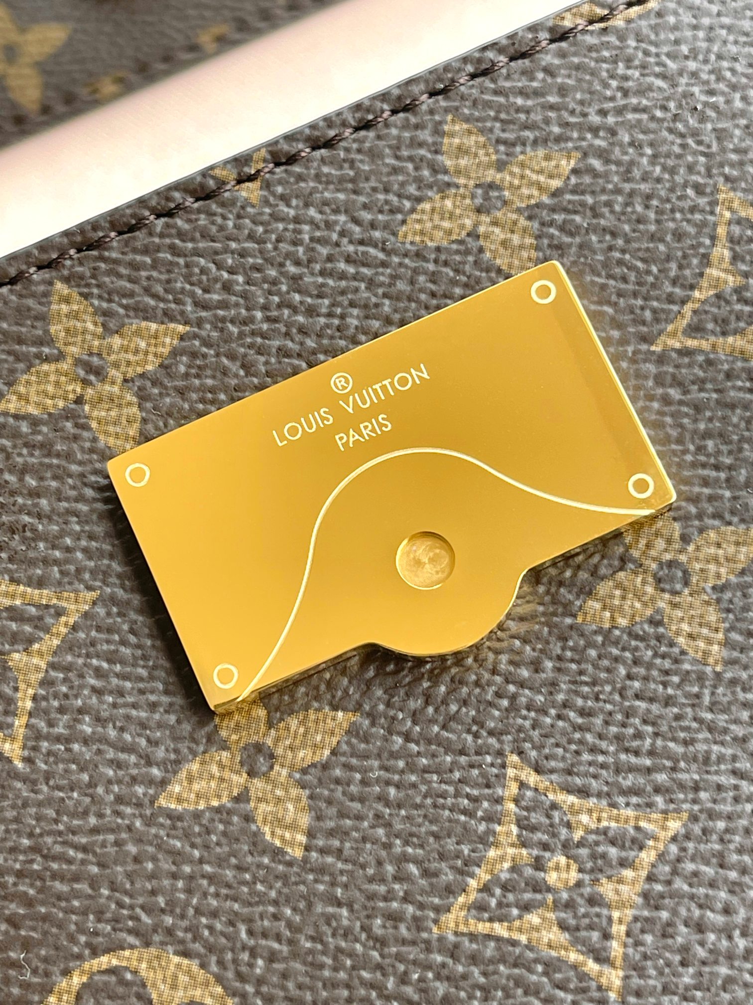 LV Bag
