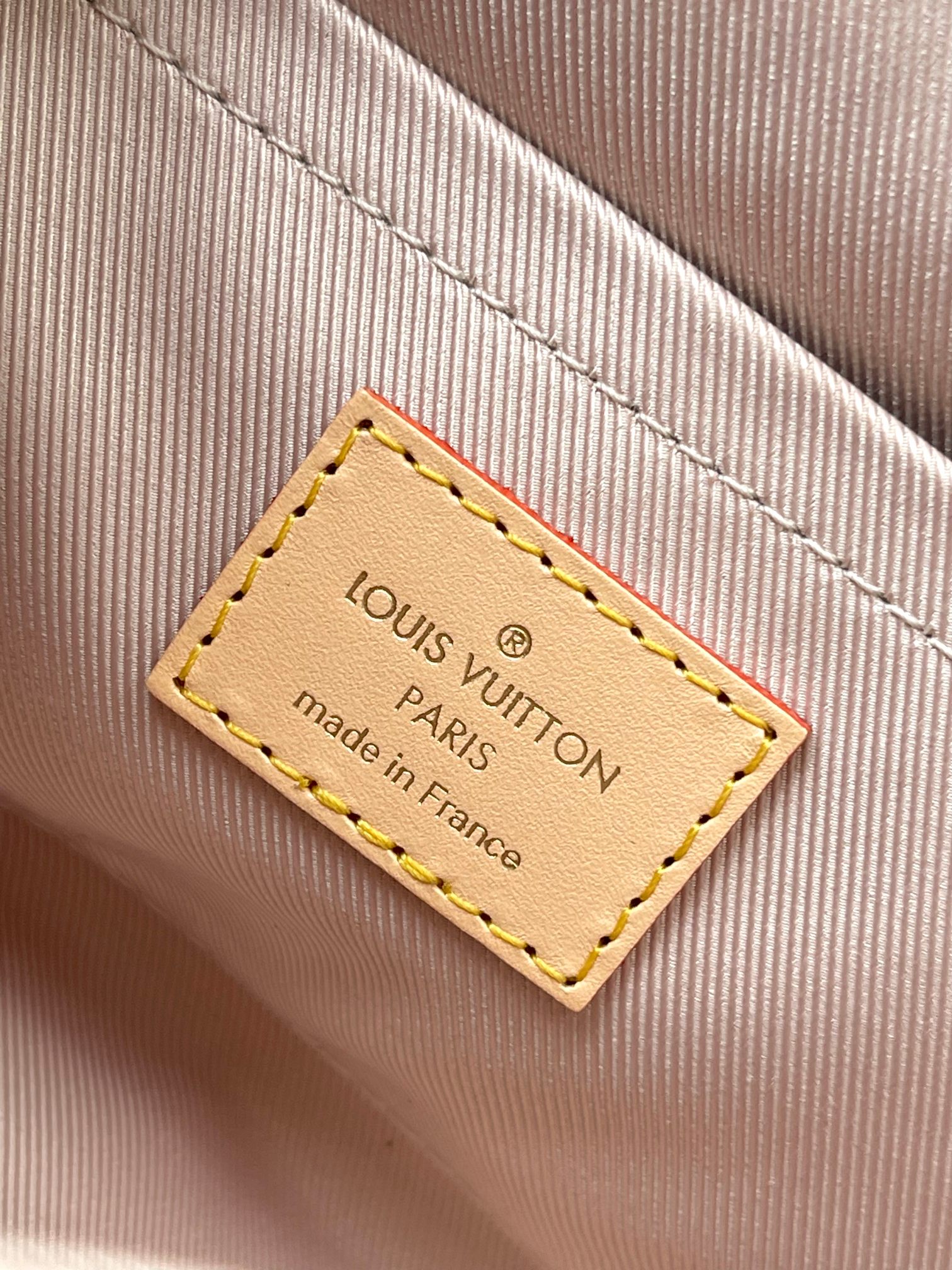 LV Bag