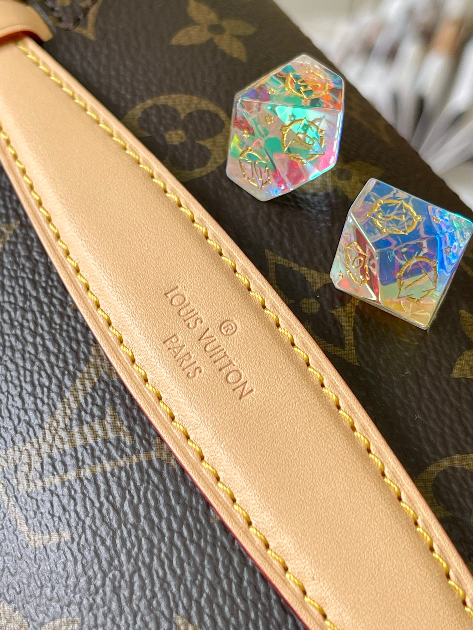LV Bag