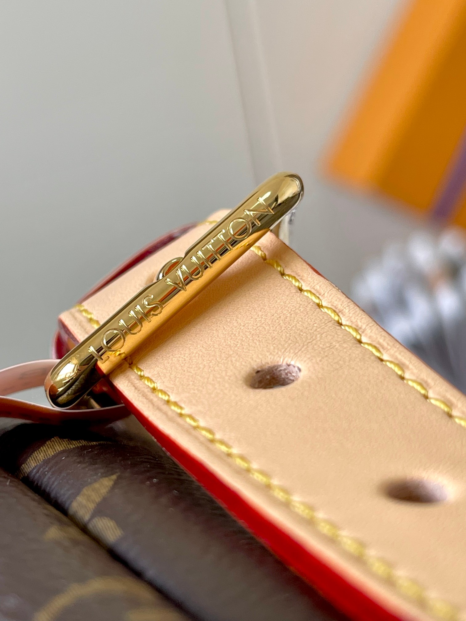LV Bag