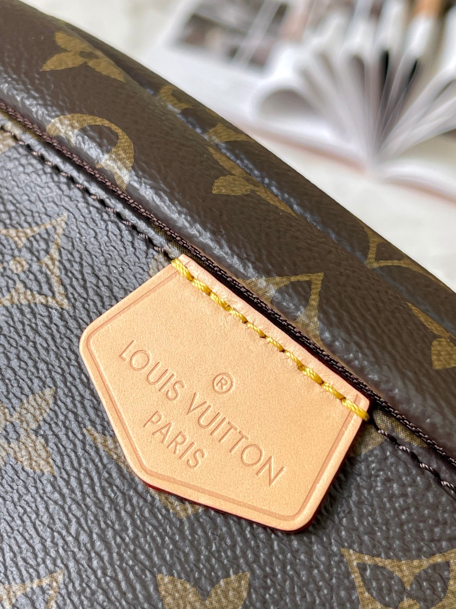 LV Bag