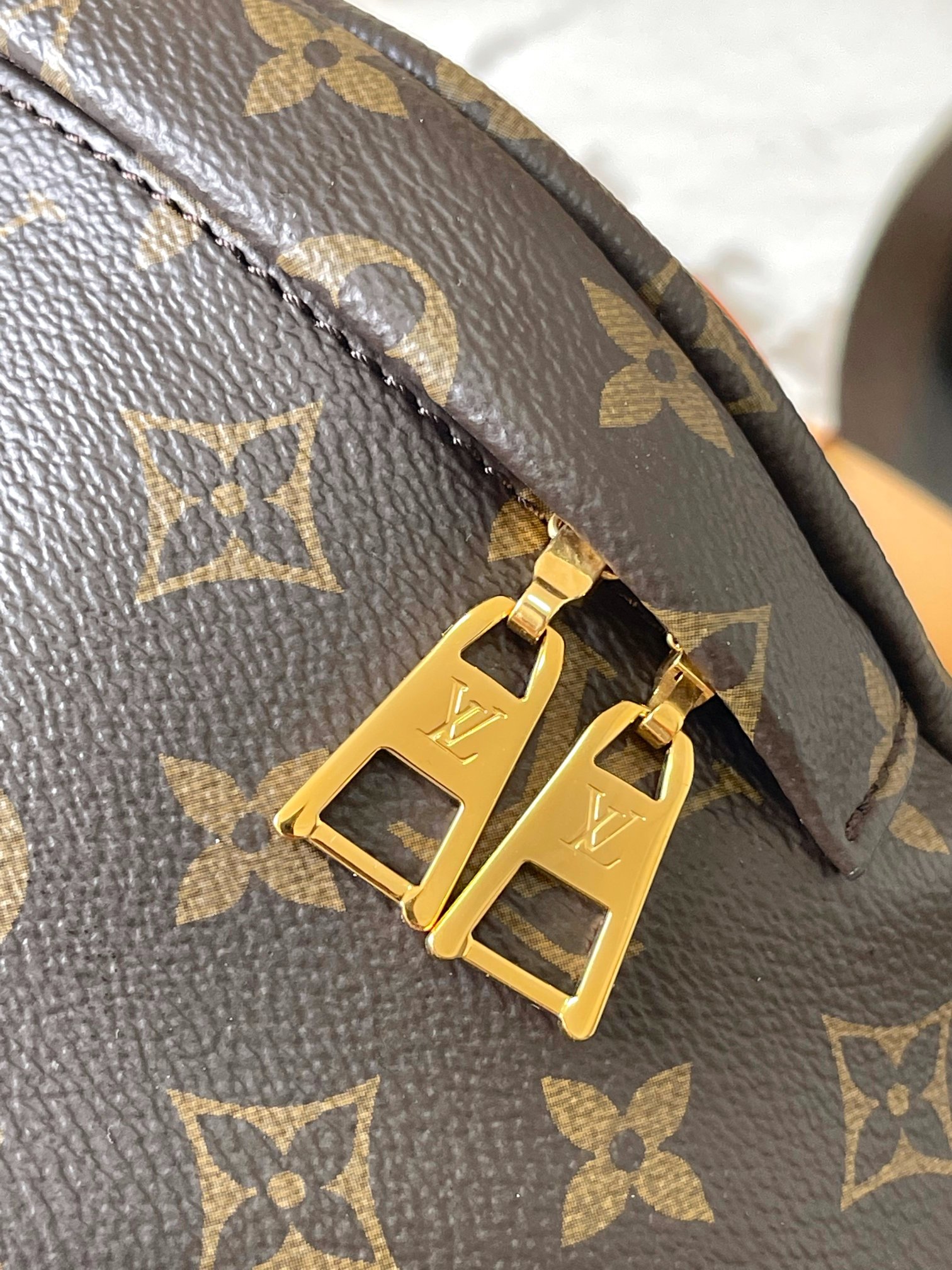LV Bag