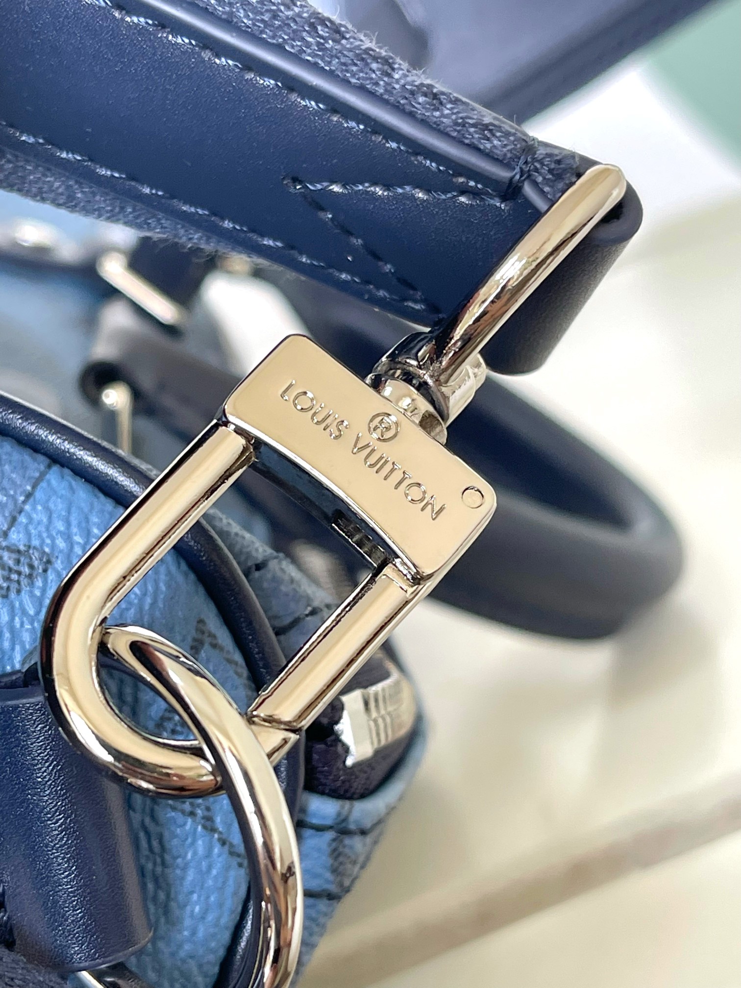 LV Bag