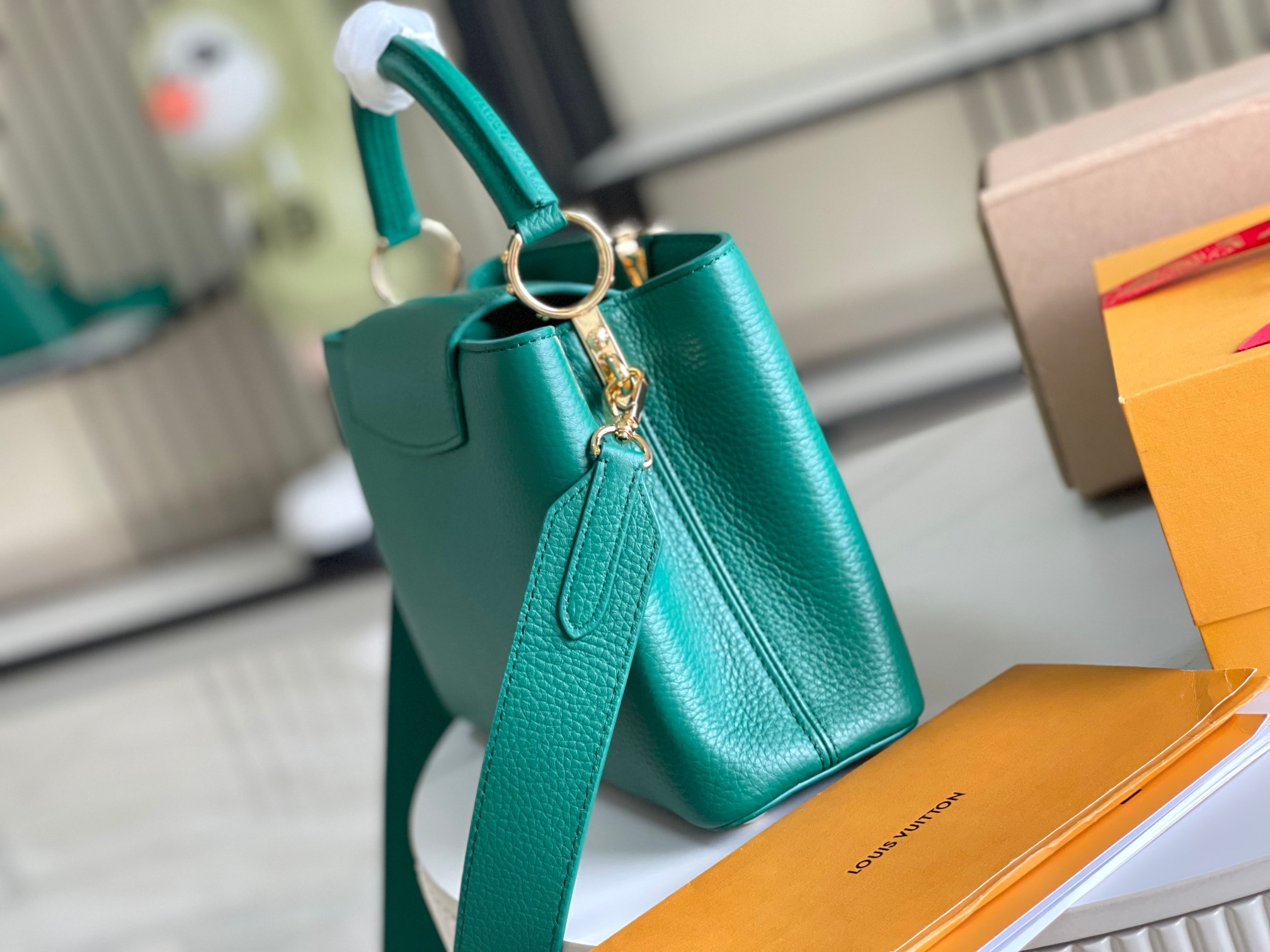 LV Bag