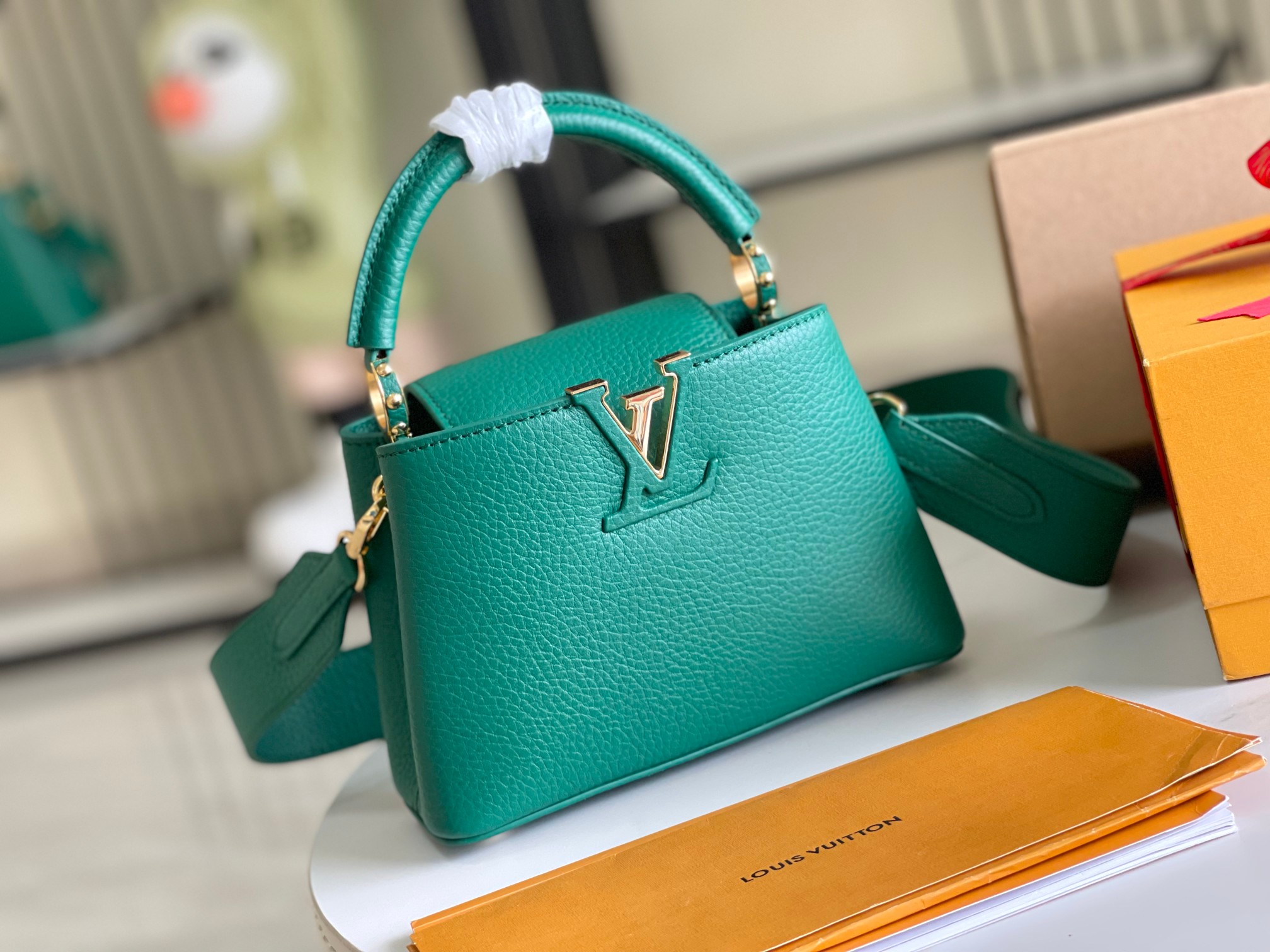 LV Bag