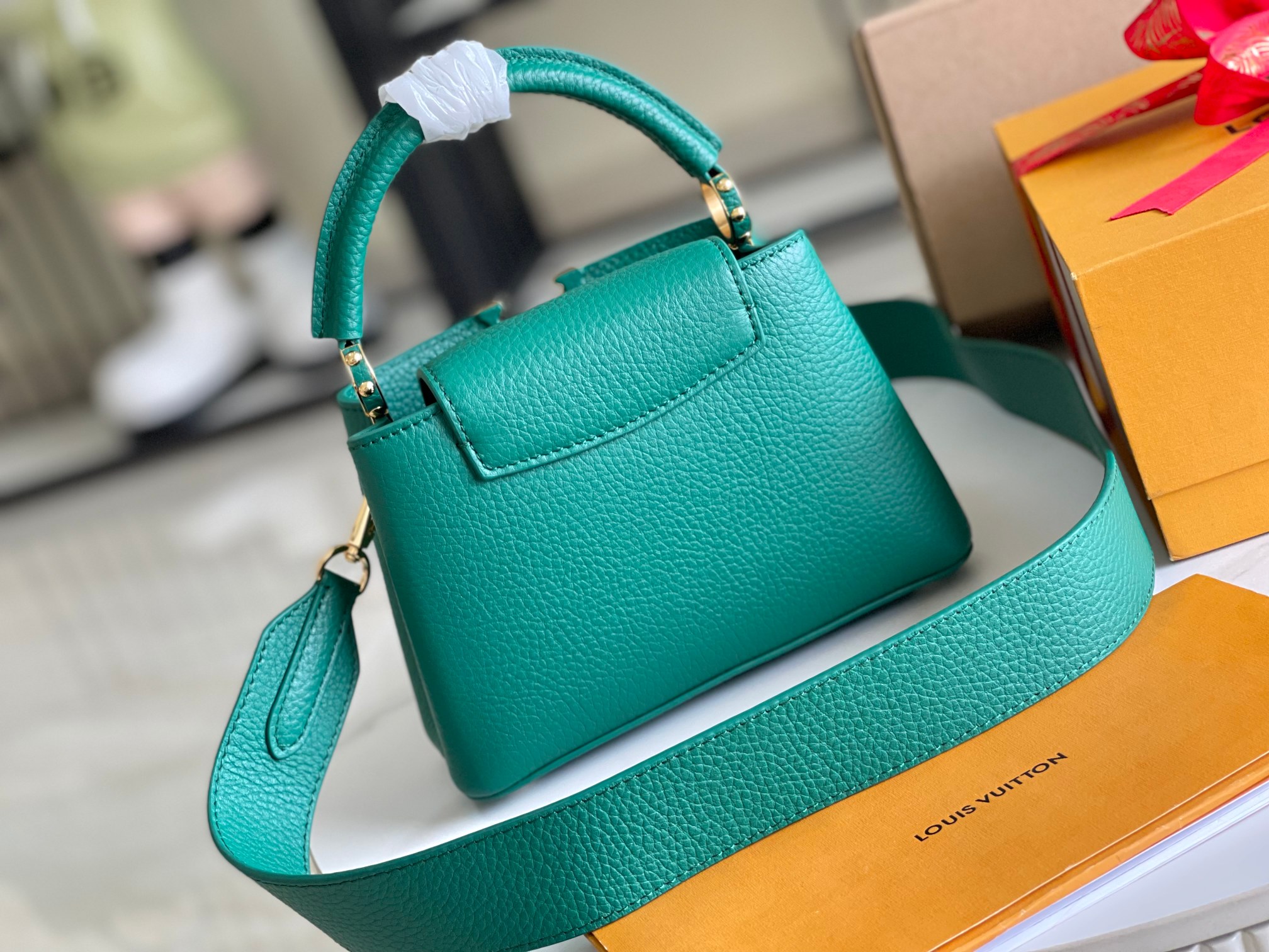 LV Bag