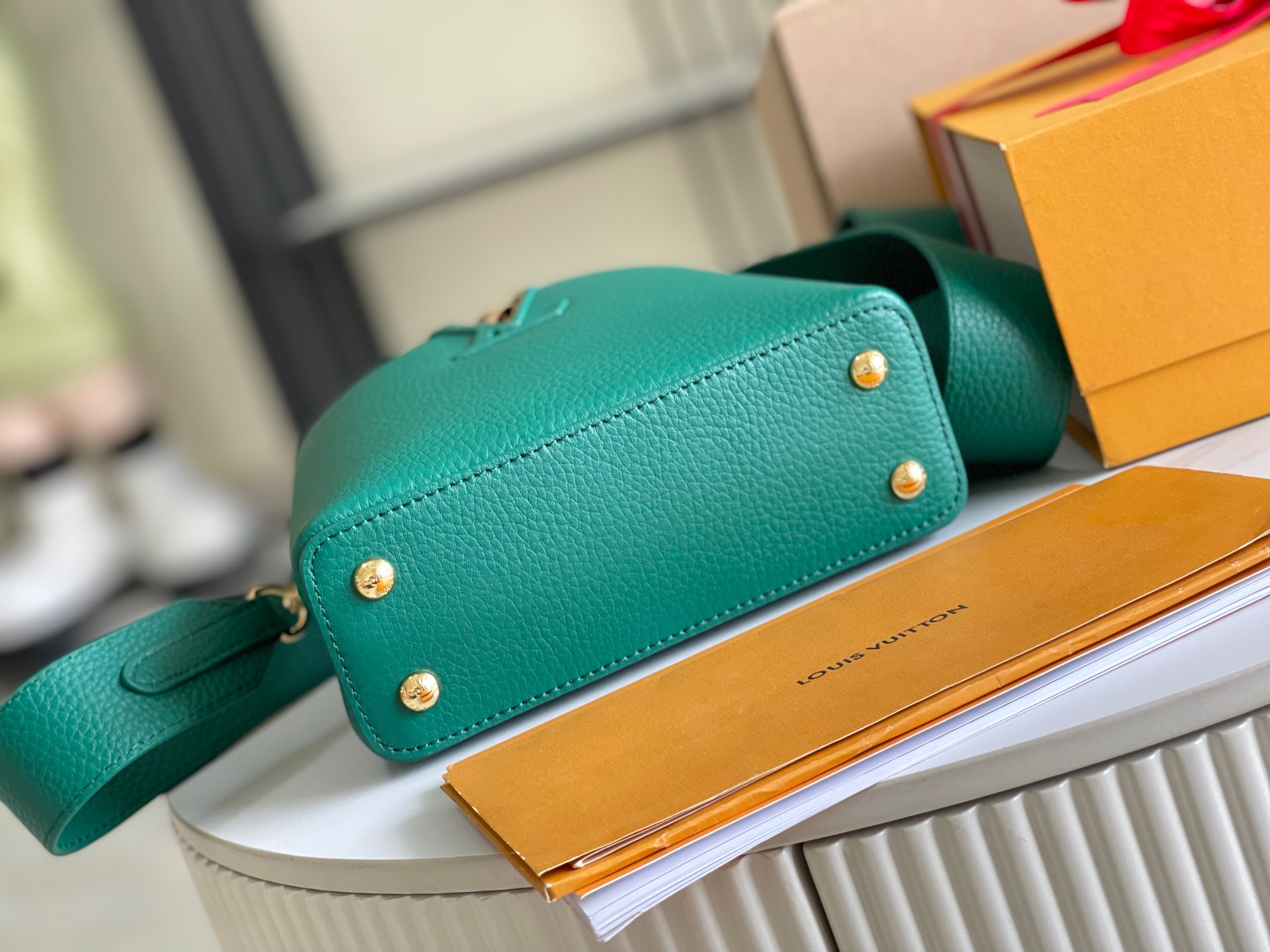 LV Bag