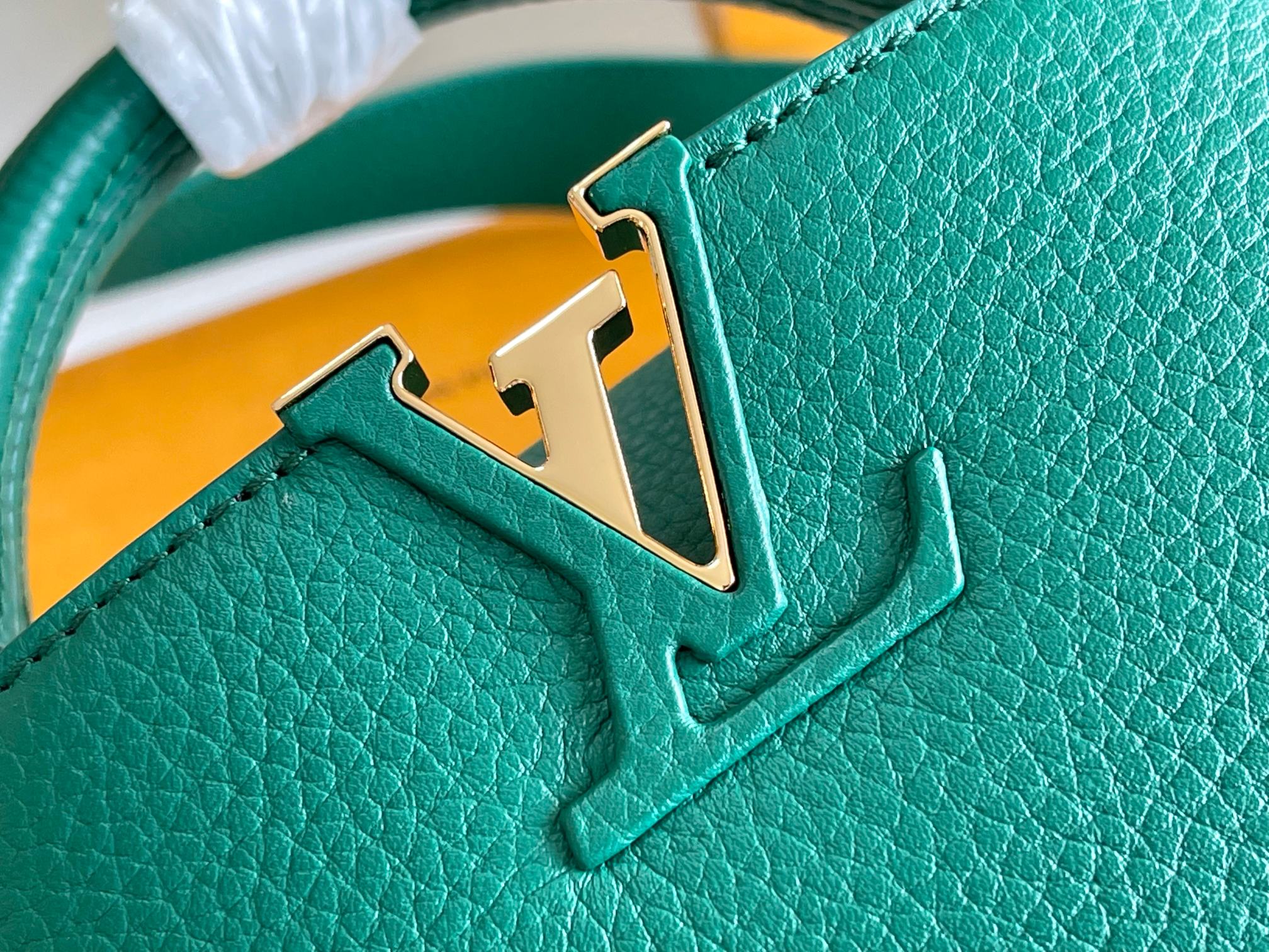 LV Bag