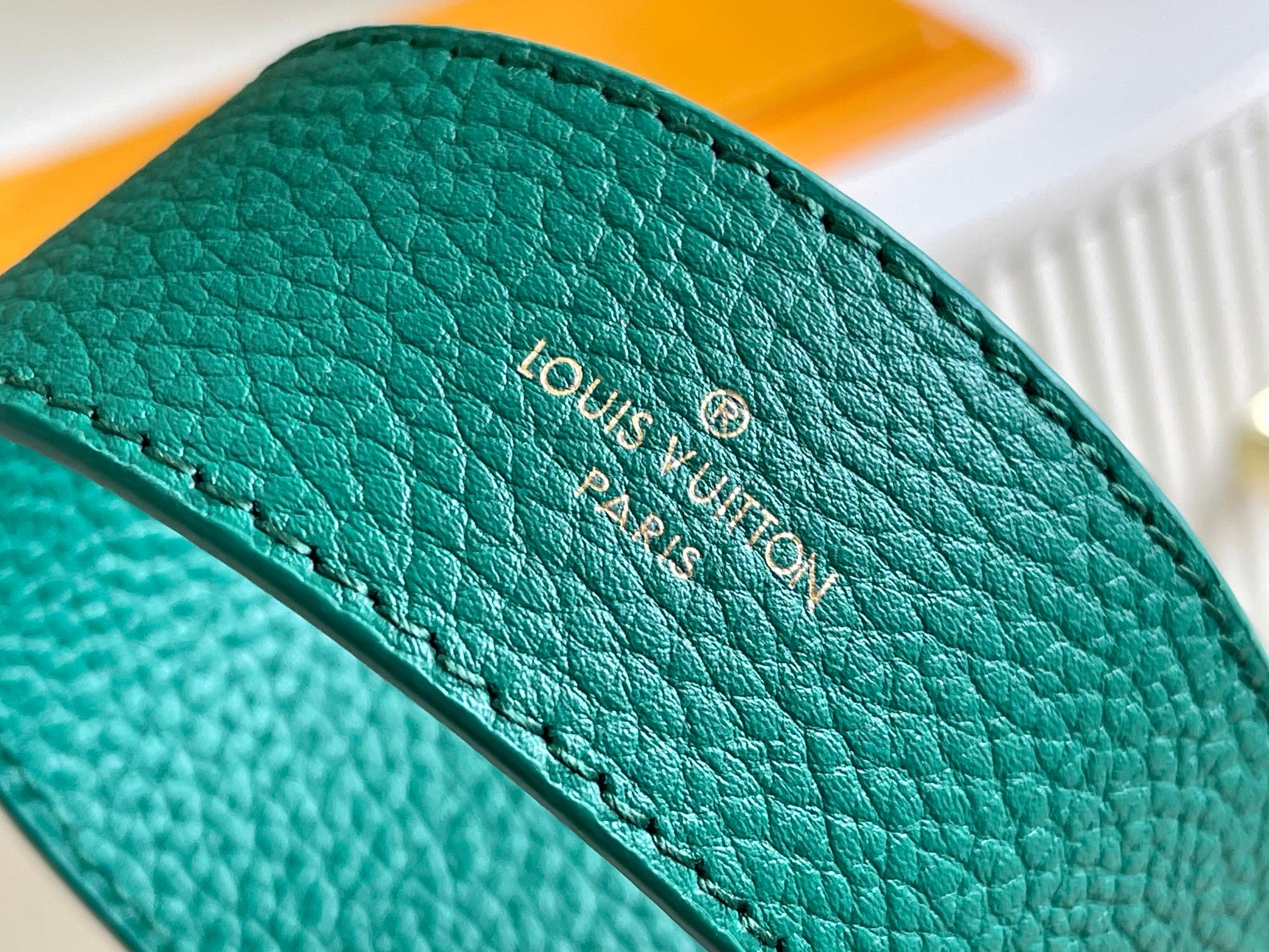 LV Bag