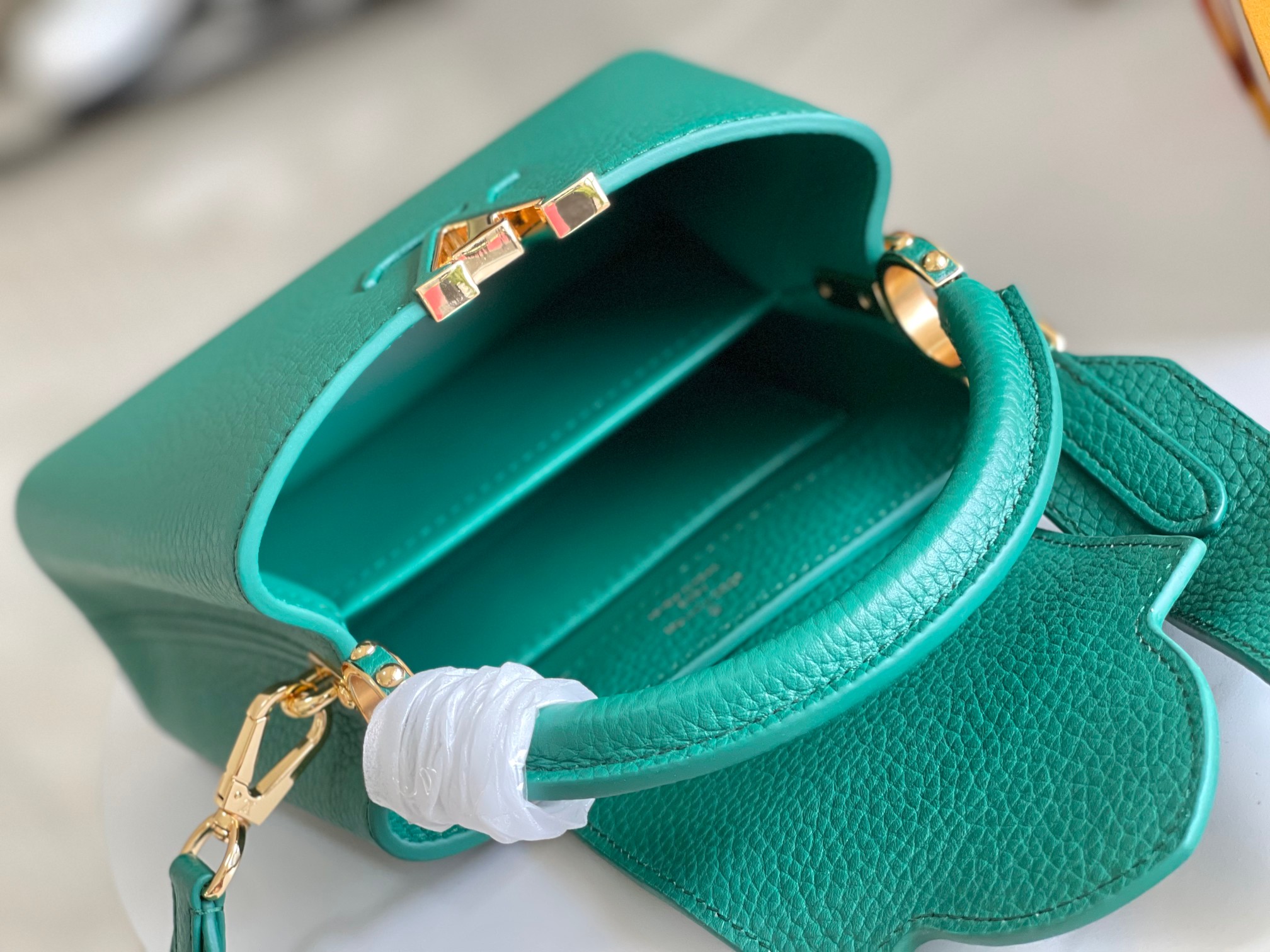 LV Bag