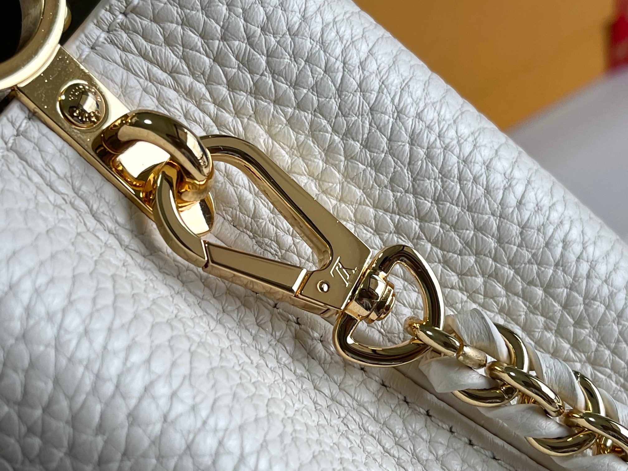 LV Bag