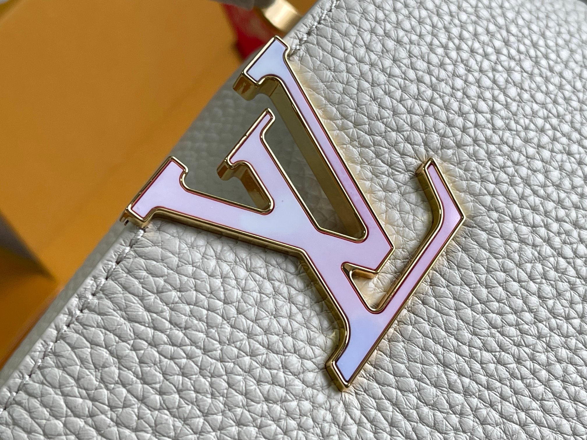 LV Bag