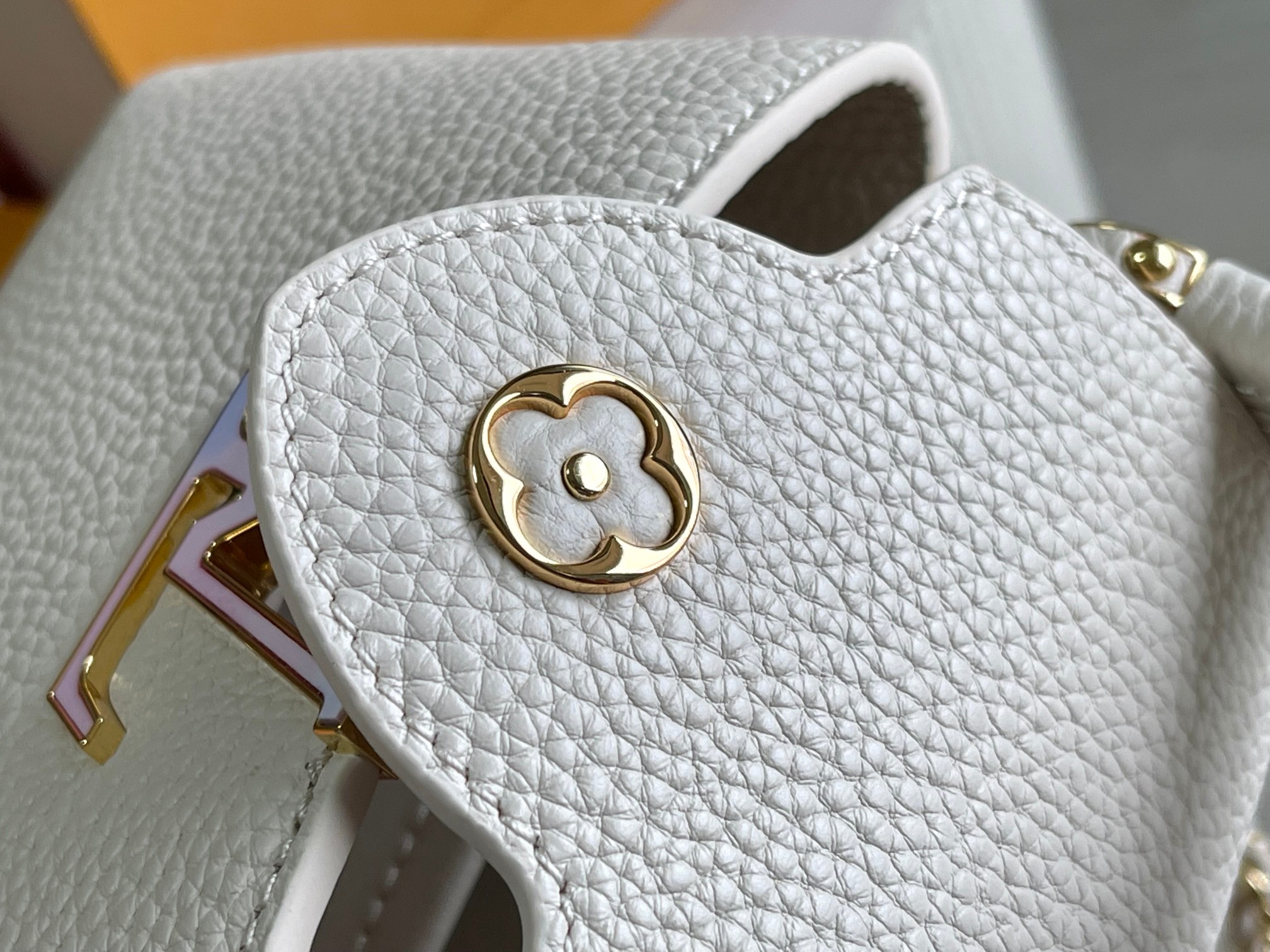 LV Bag