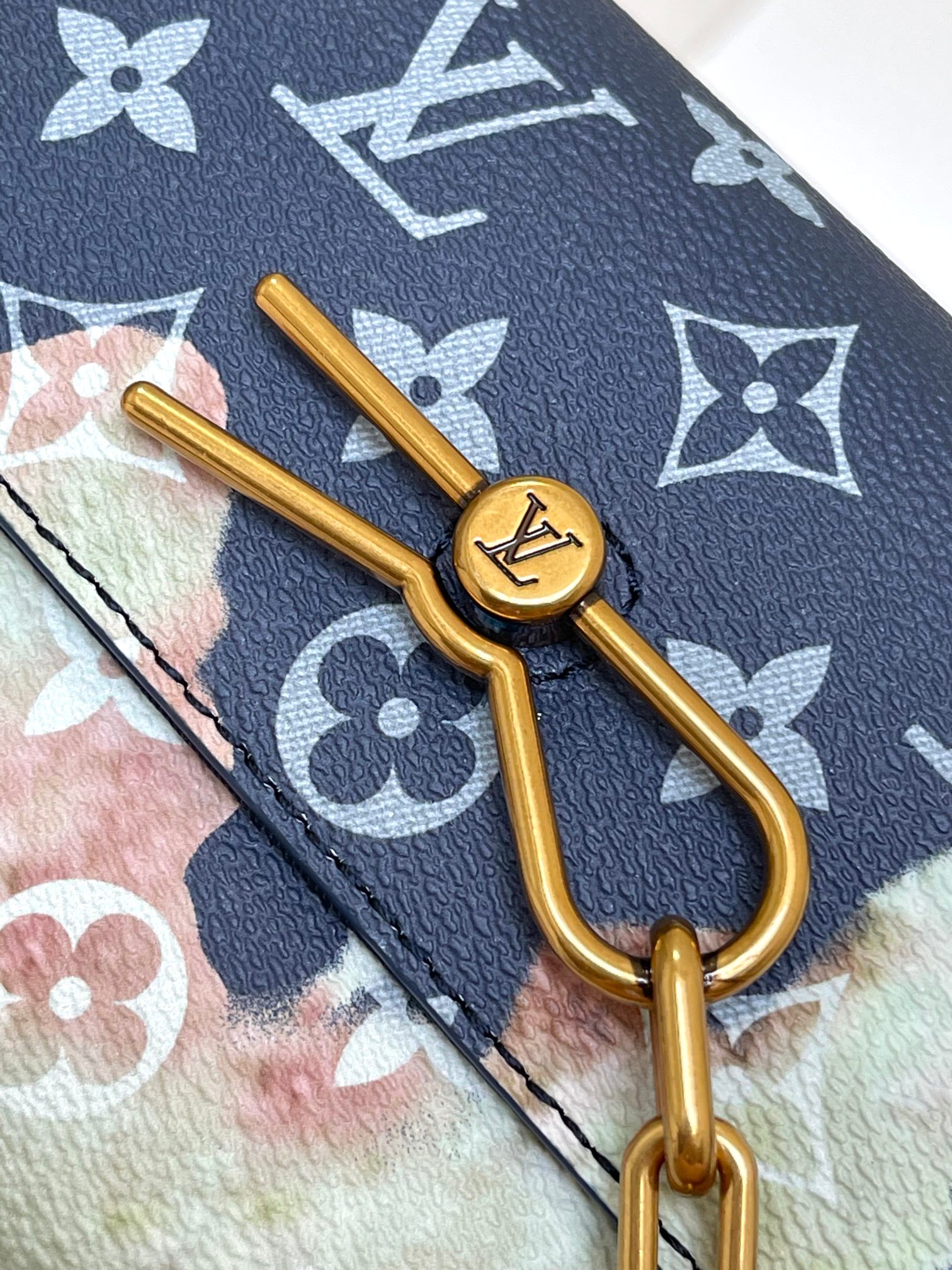 LV Bag
