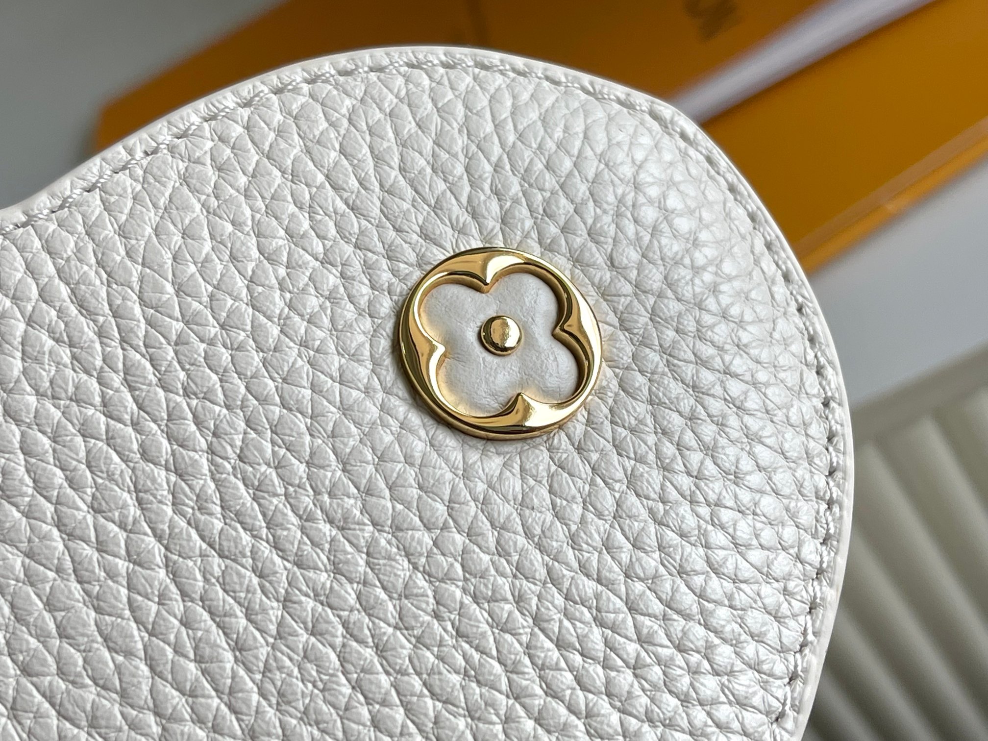 LV Bag