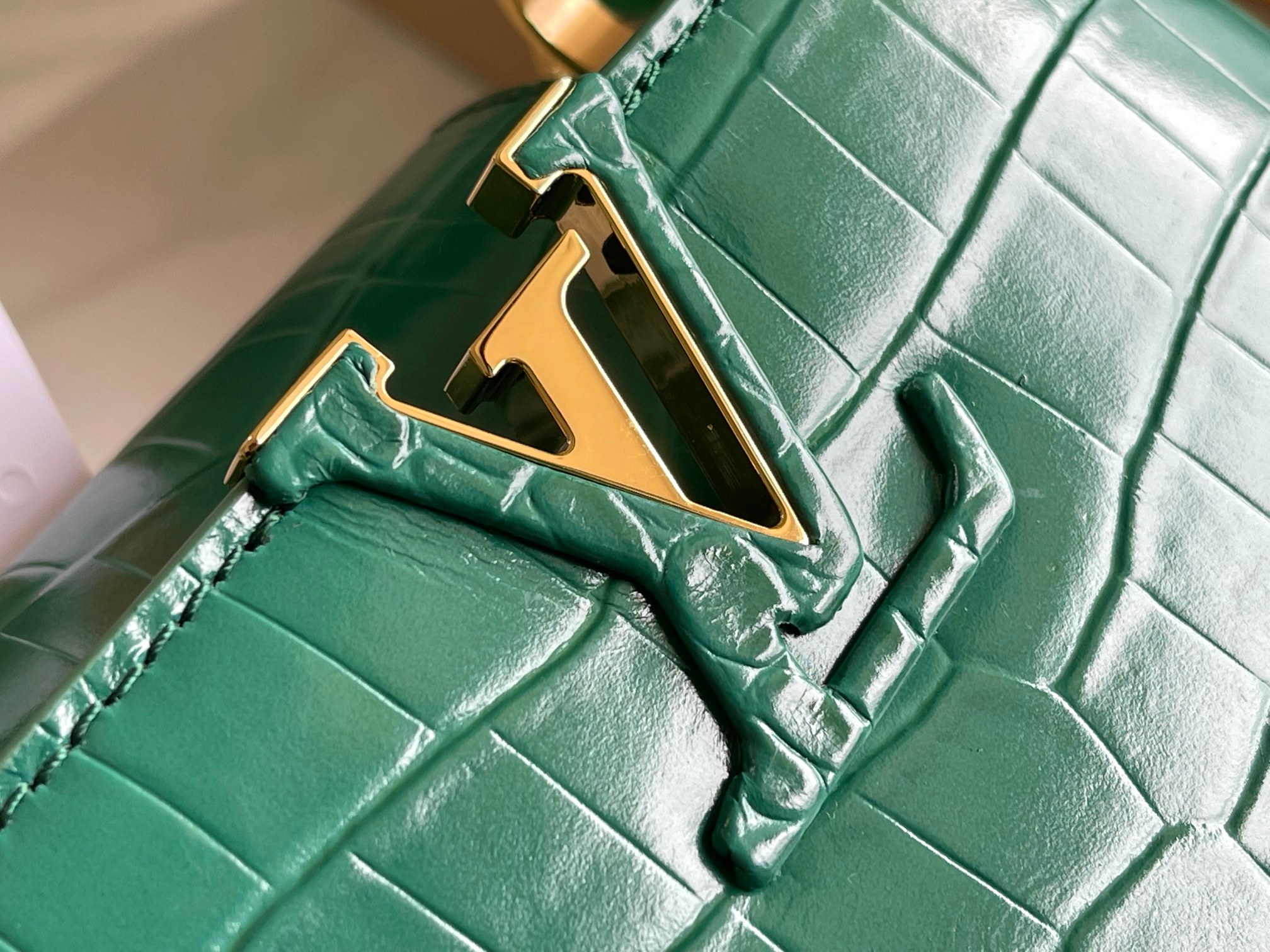 LV Bag