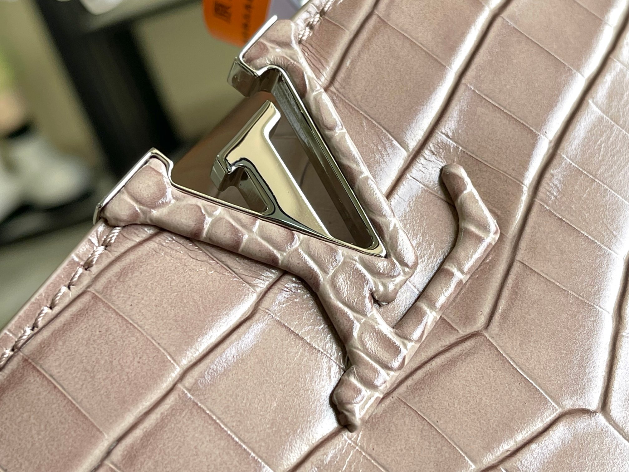 LV Bag