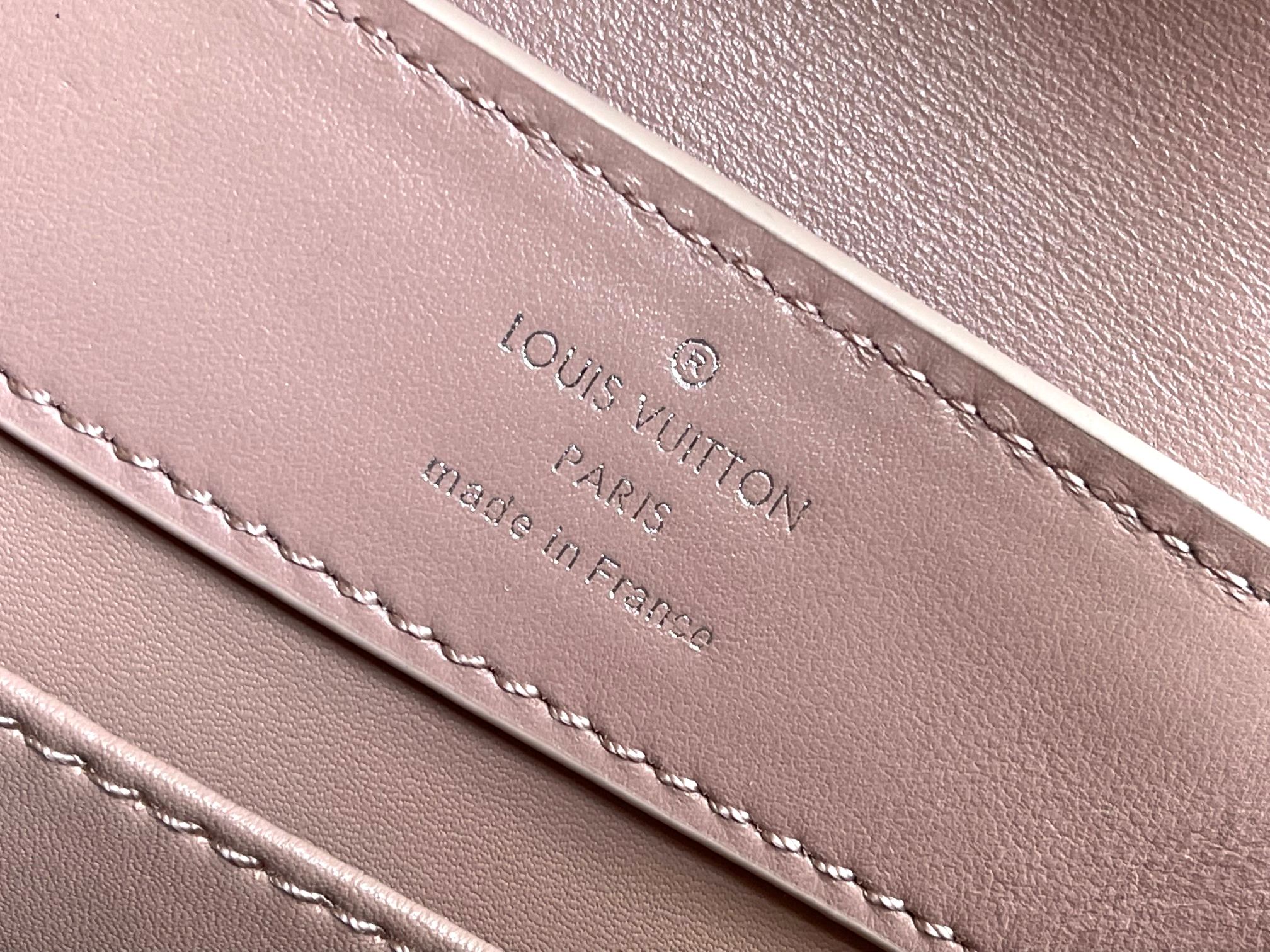 LV Bag