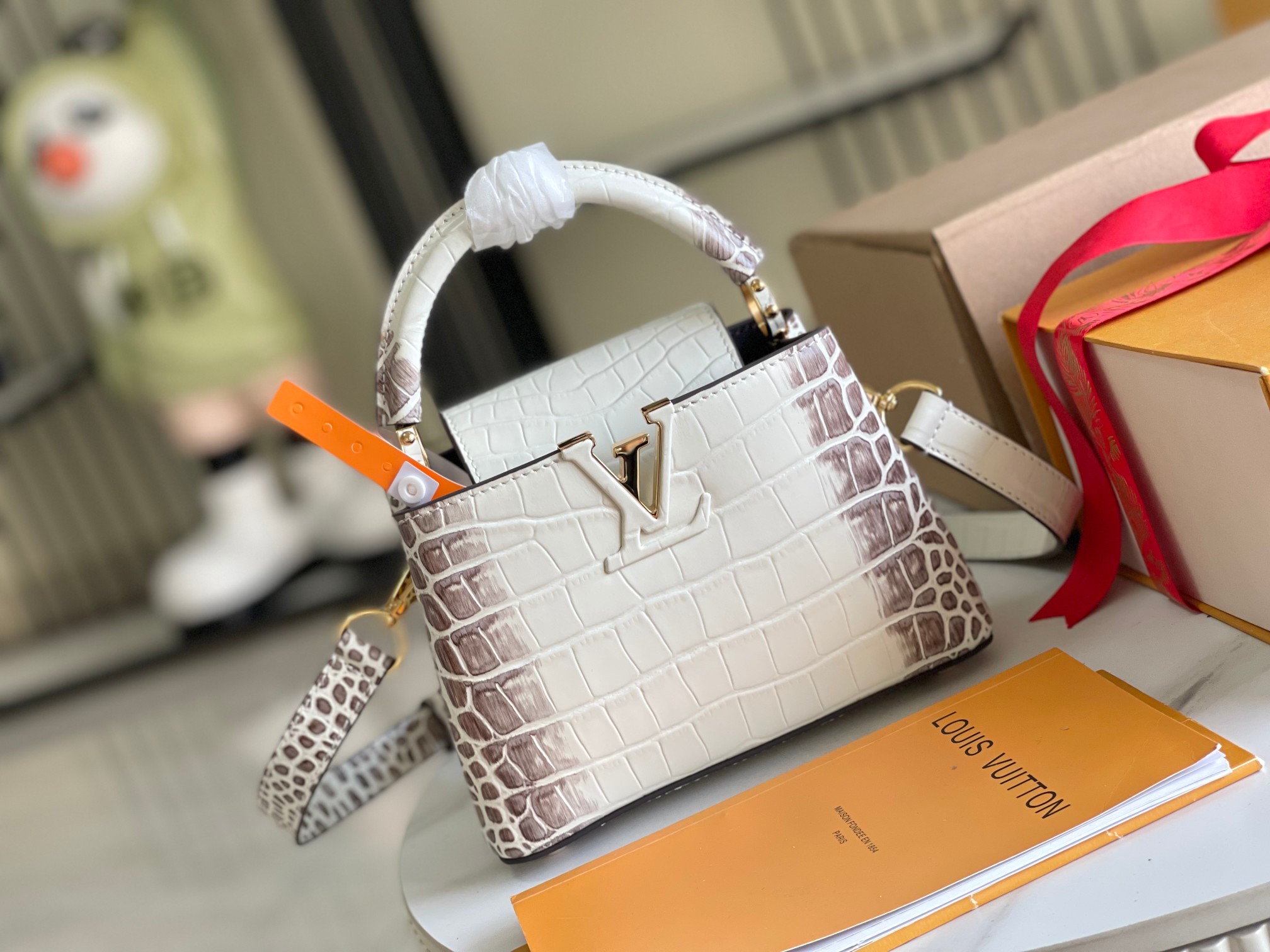 LV Bag