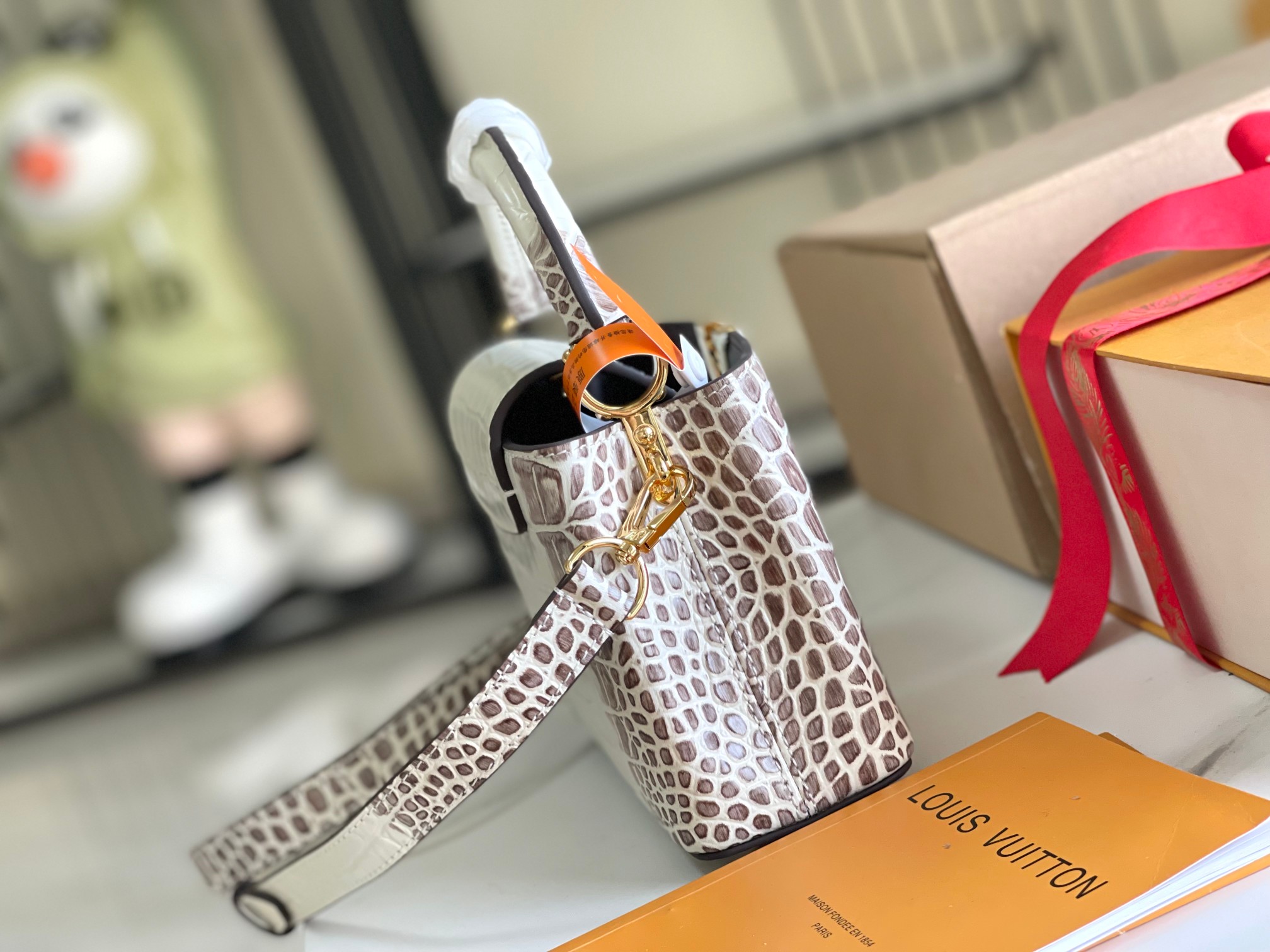 LV Bag