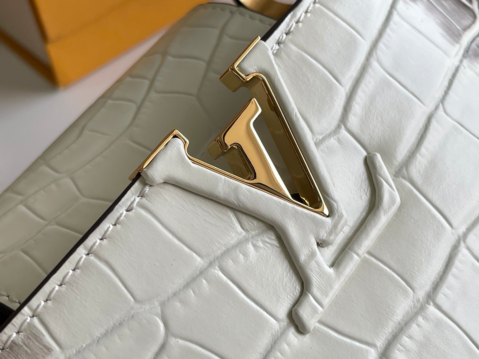 LV Bag