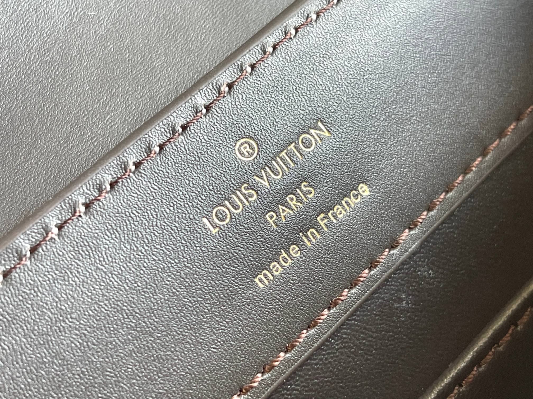 LV Bag