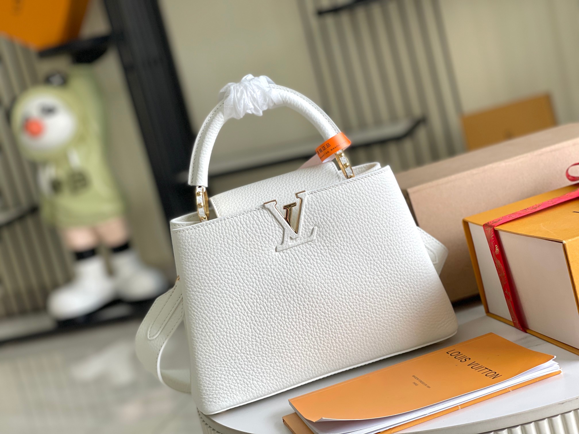 LV Bag