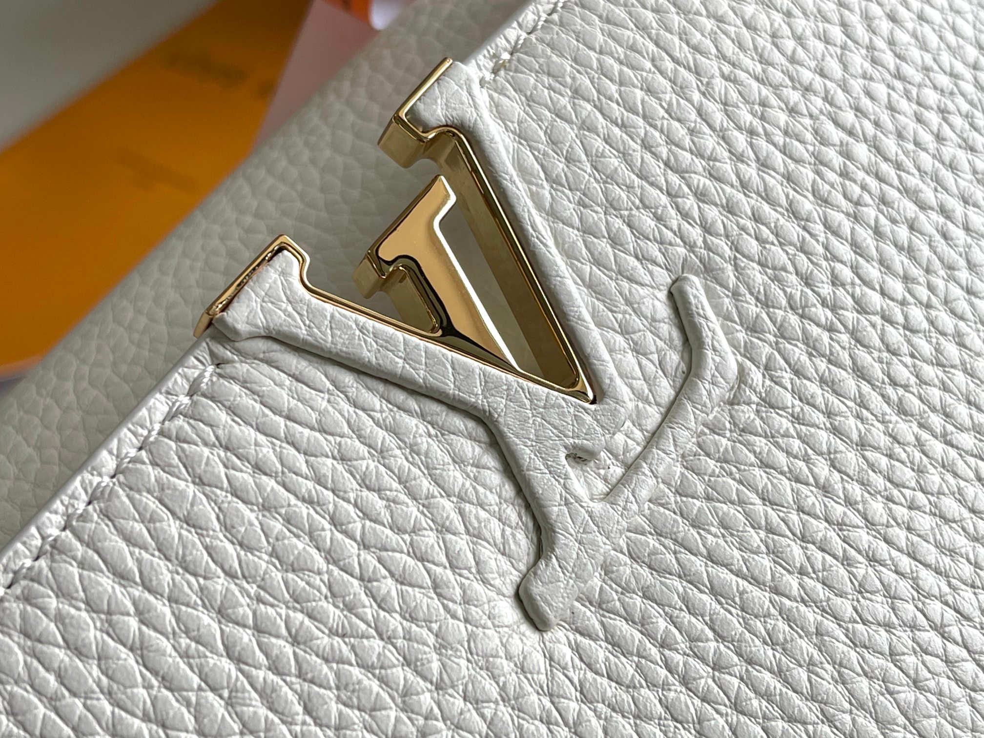 LV Bag