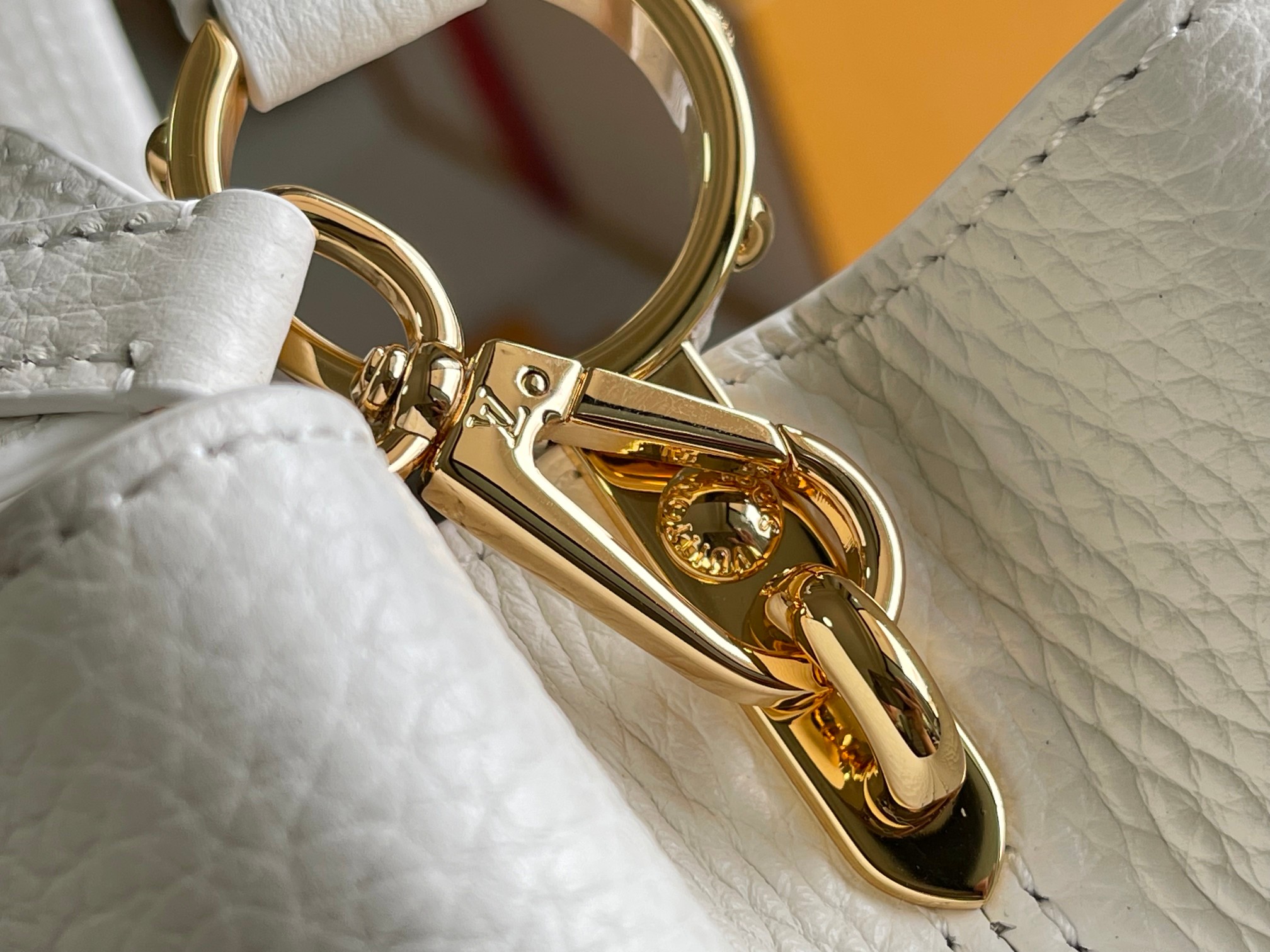 LV Bag