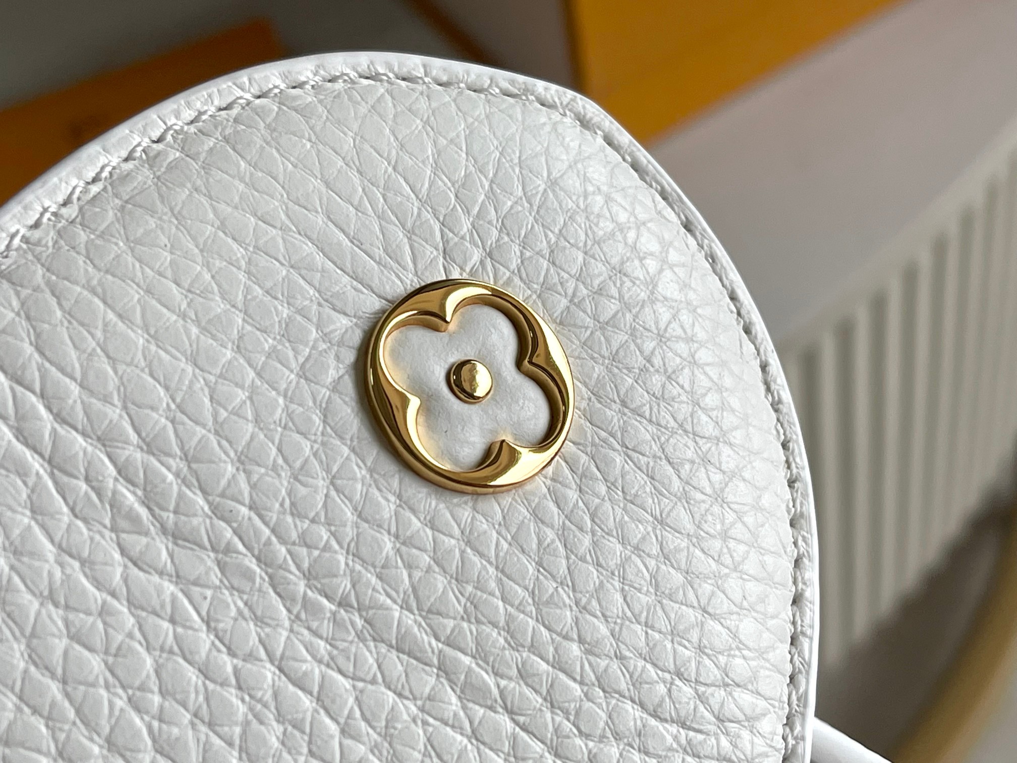 LV Bag