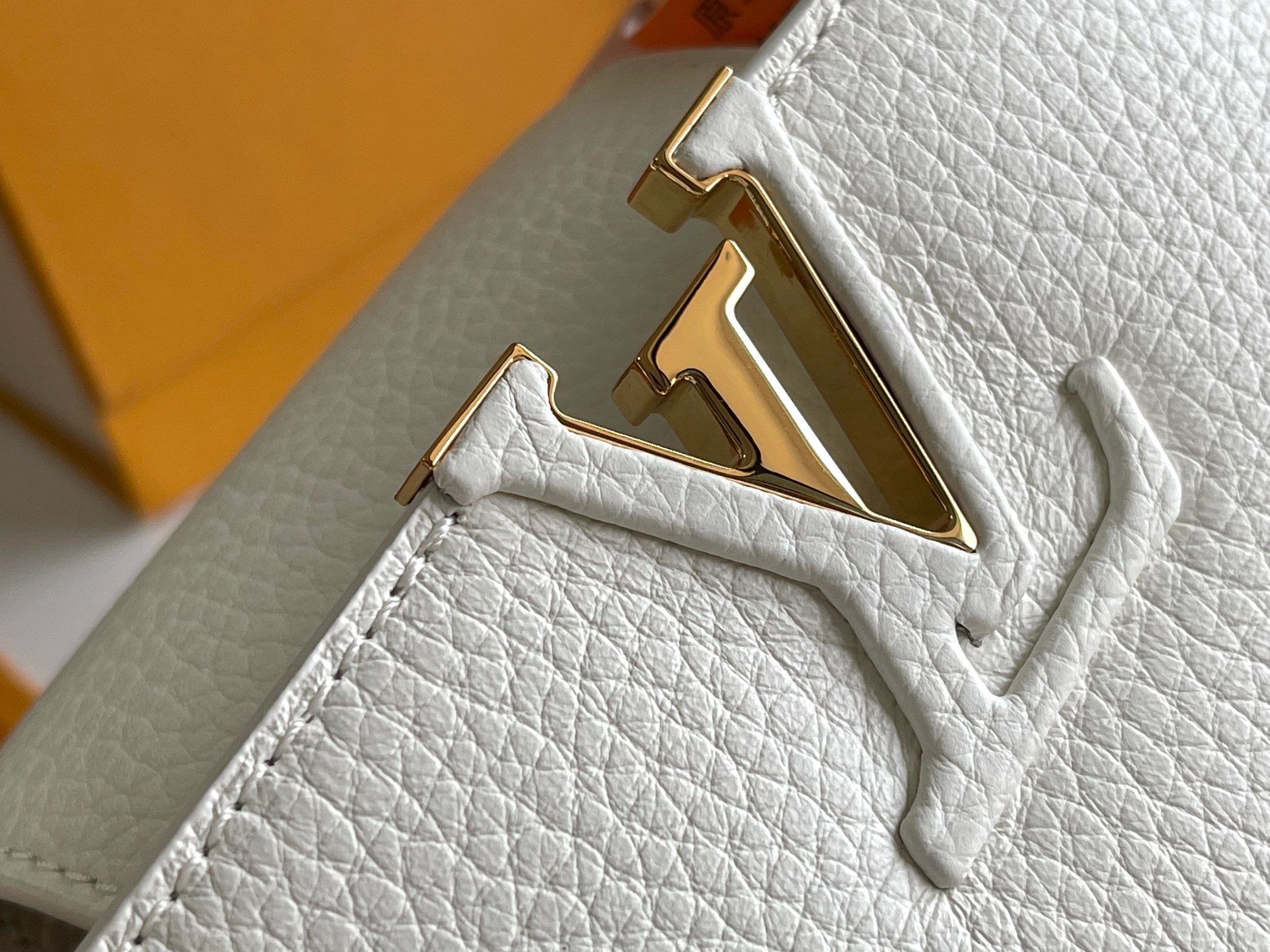 LV Bag
