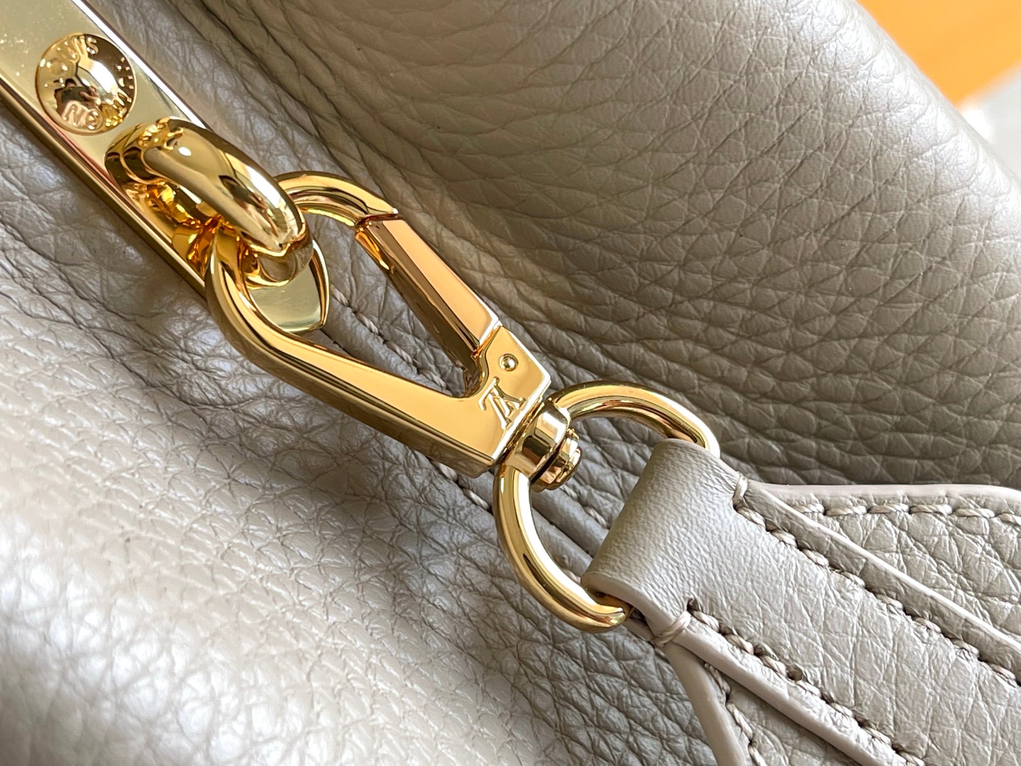 LV Bag