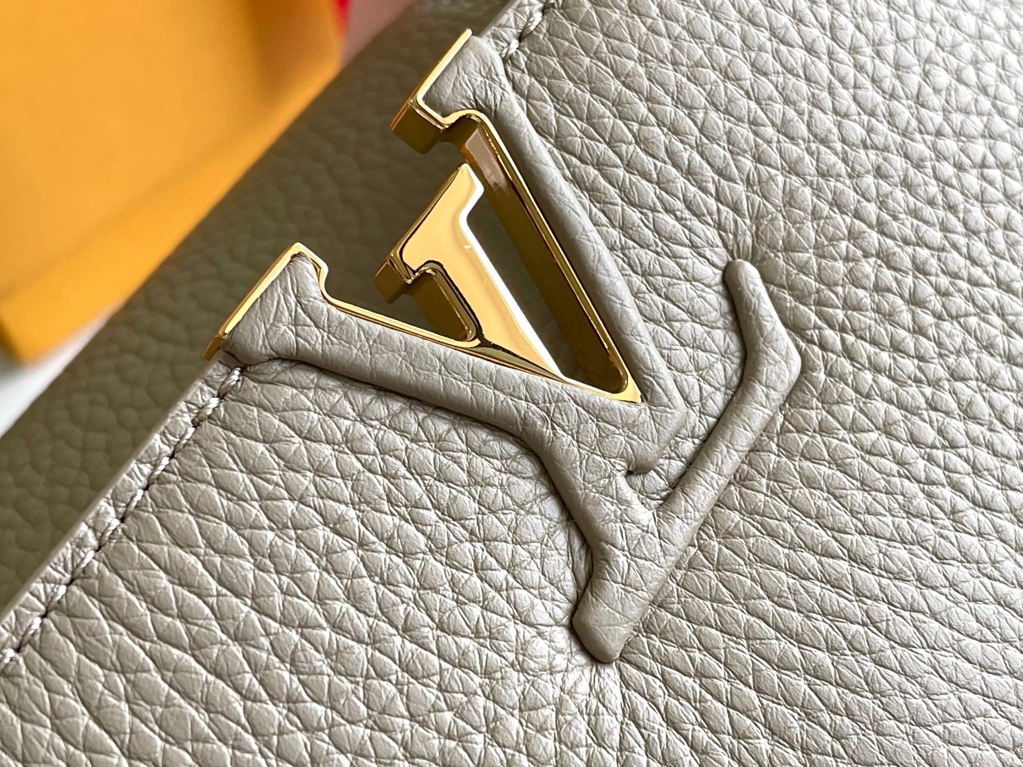 LV Bag
