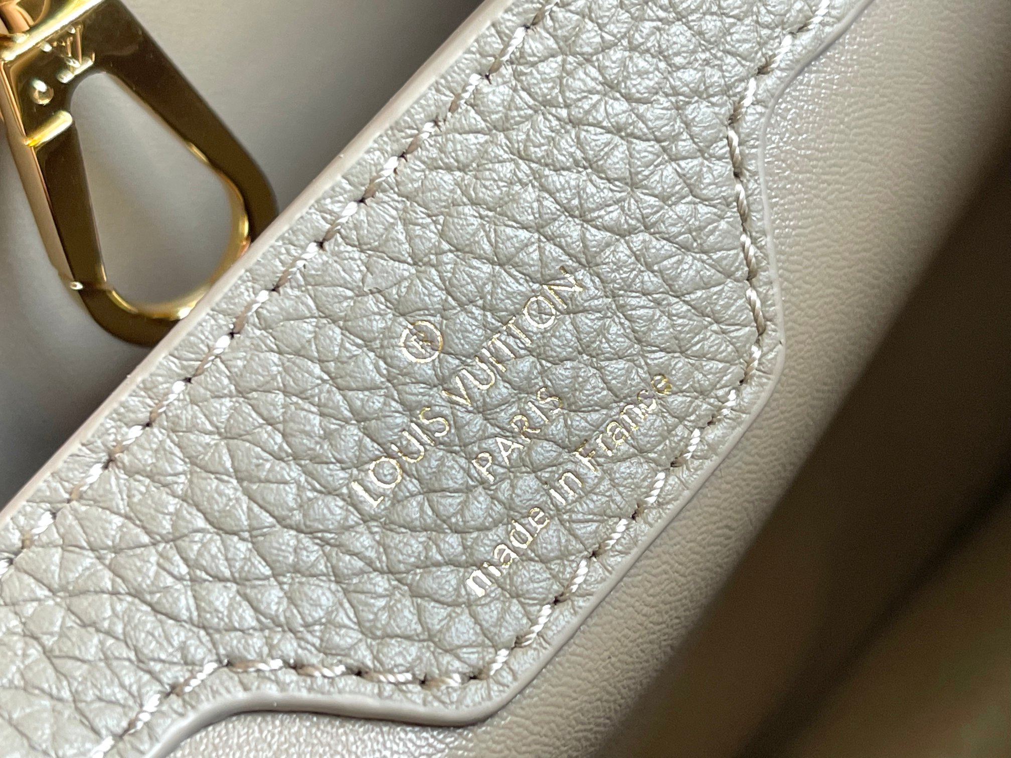 LV Bag