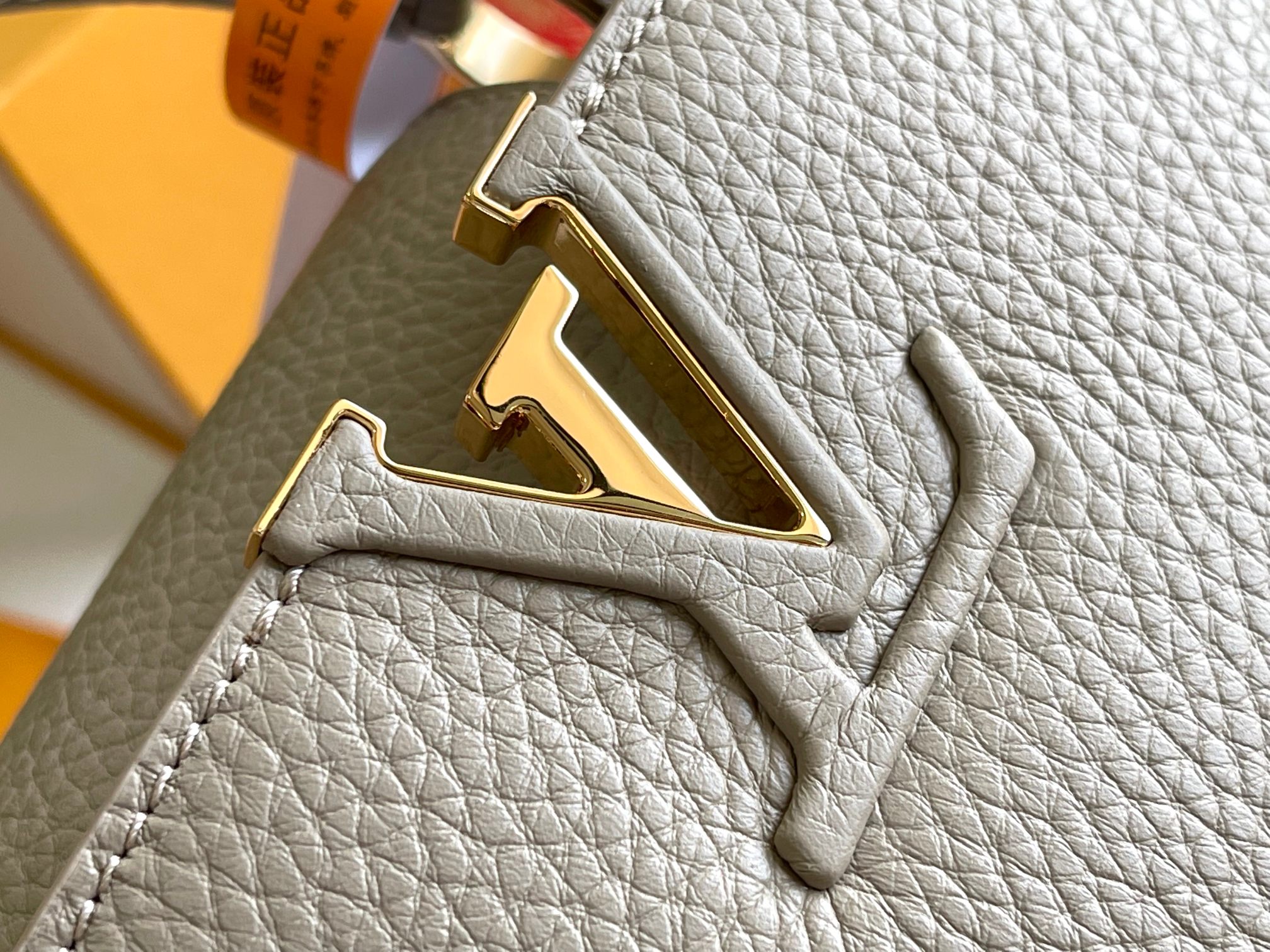 LV Bag