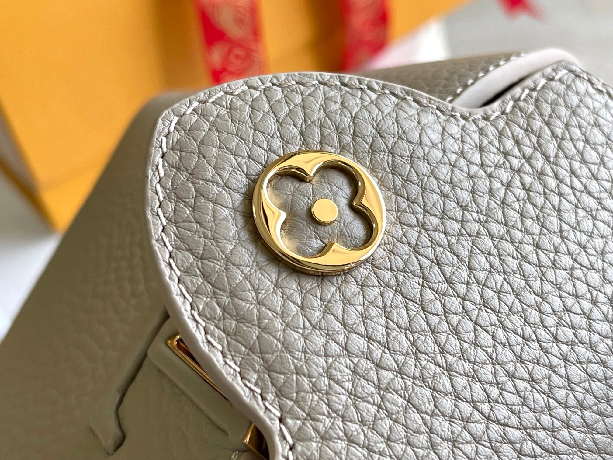 LV Bag