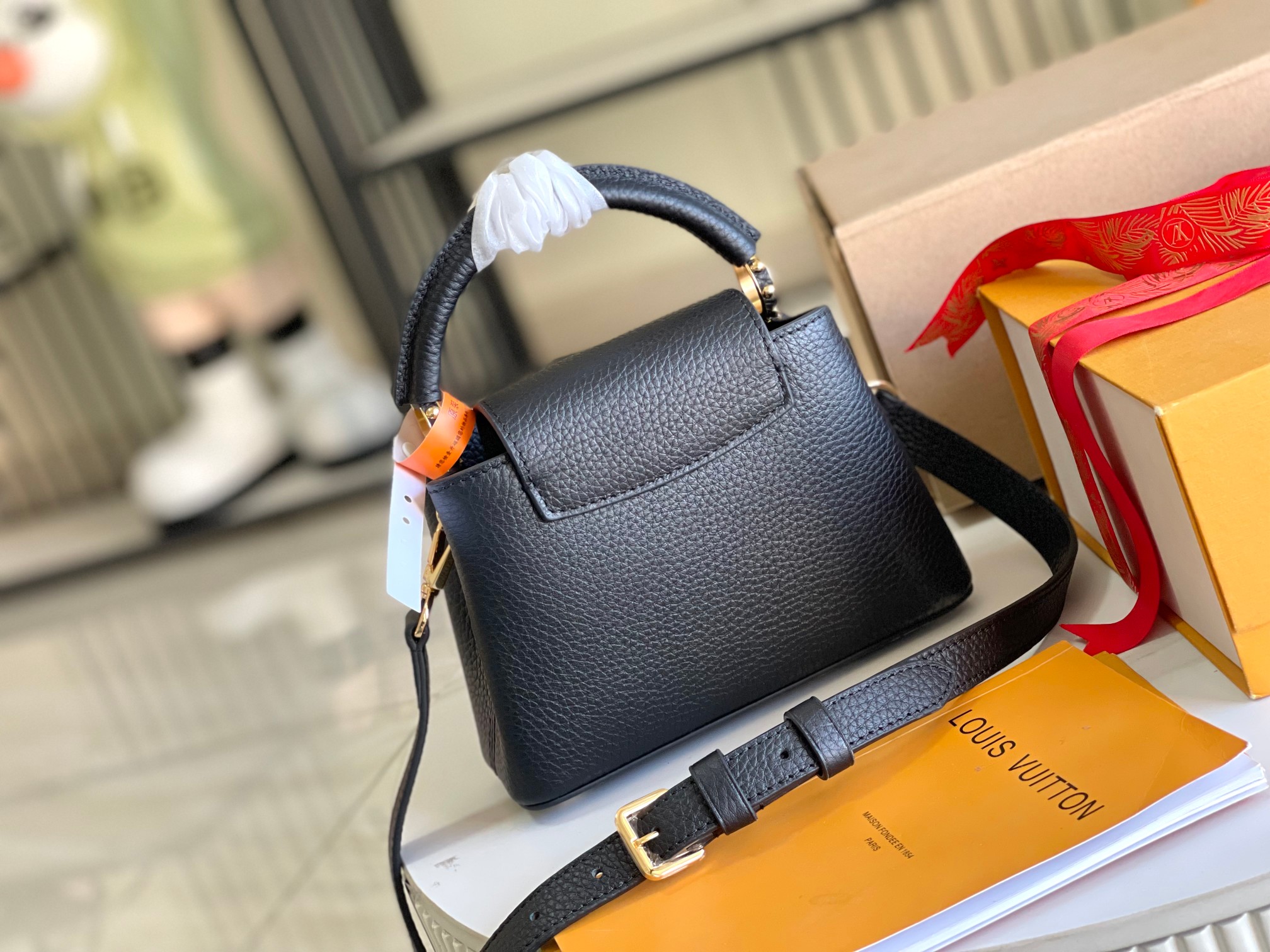LV Bag