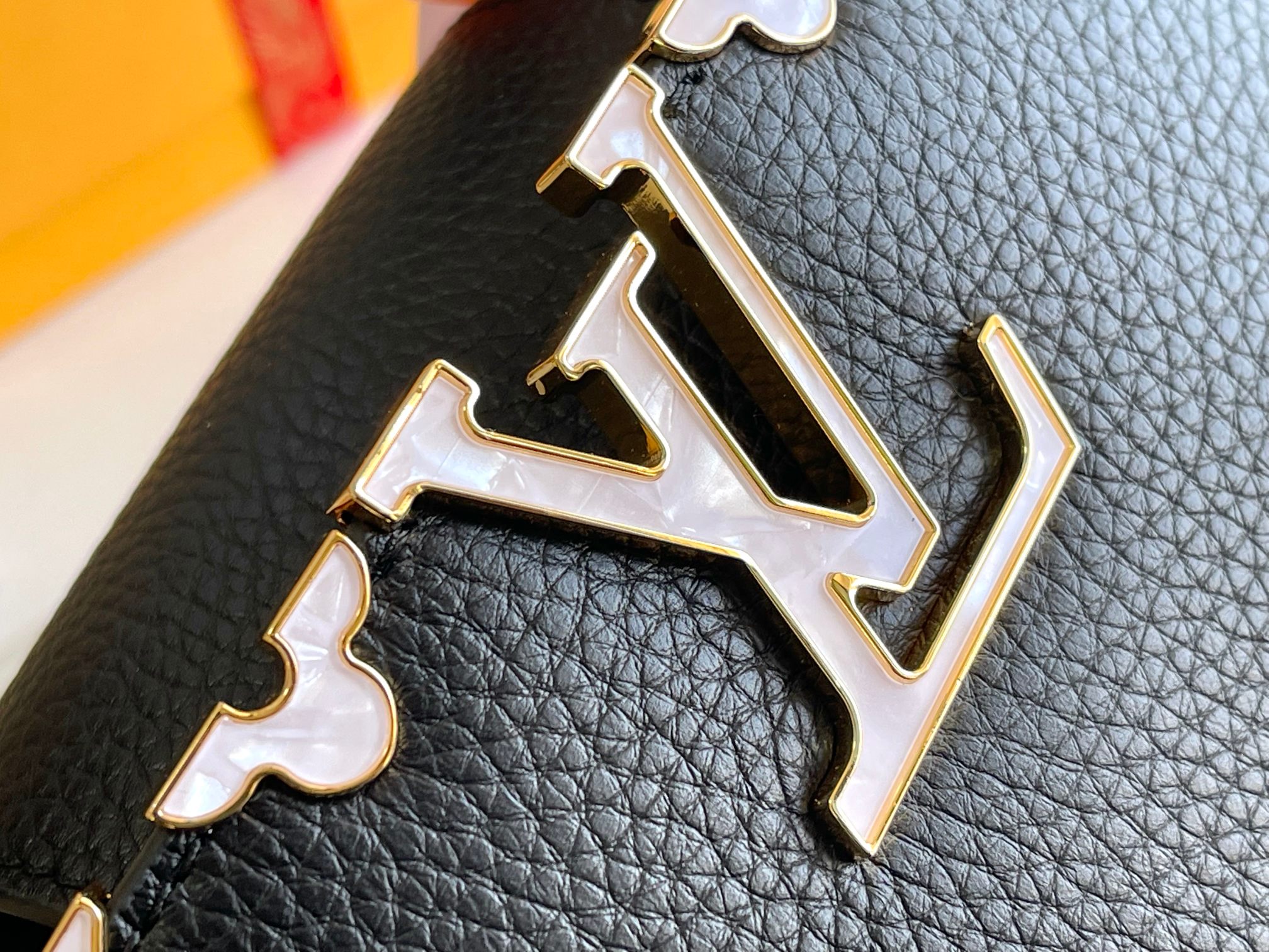 LV Bag